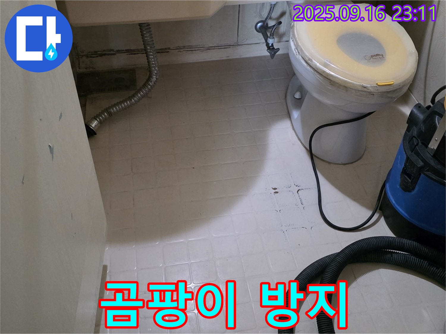 은평구 신사동 새절역 현대아파트 누수 - 화장실 방수 후 곰팡이 걱정 없이 깨끗하게