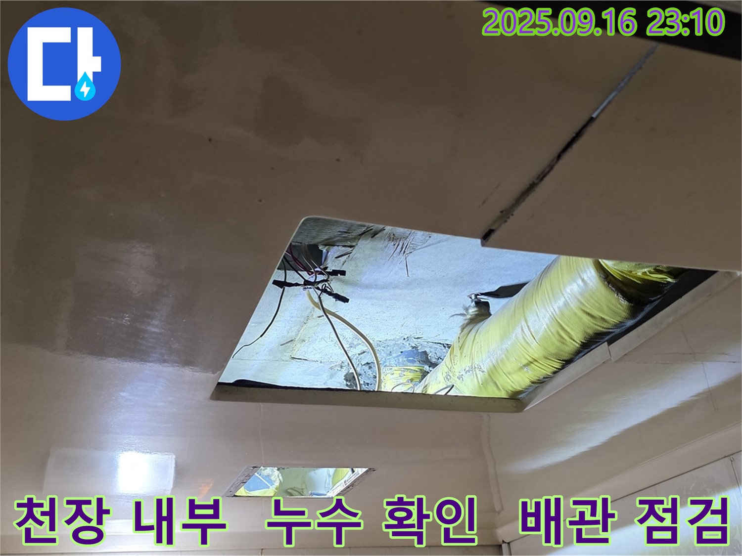 천장 내부 누수 확인 - 천장 내부를 꼼꼼하게 확인하여 누수 원인을 찾고 있습니다.
