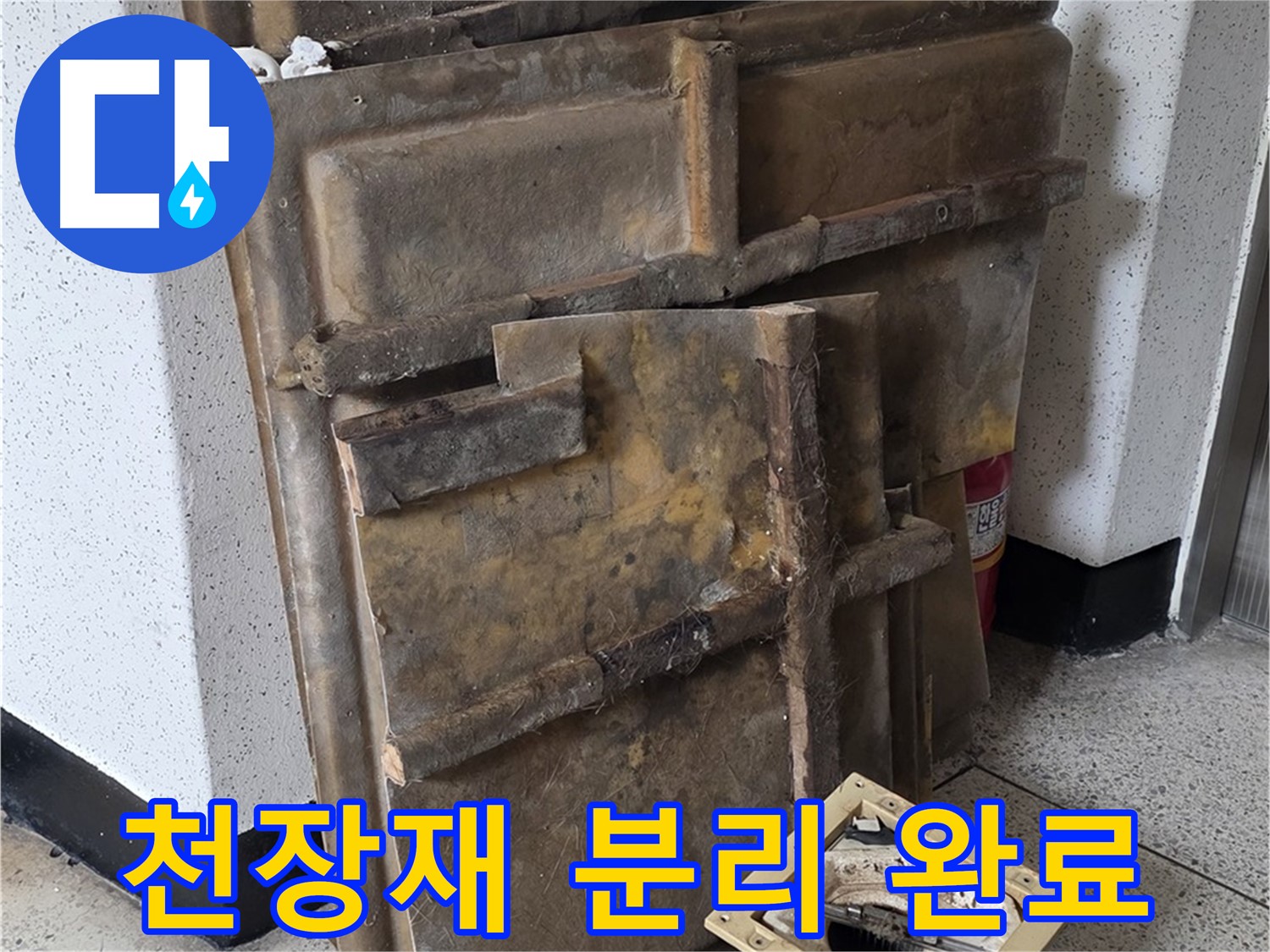 천장재 분리 작업 완료 - 누수 원인 찾기 준비
