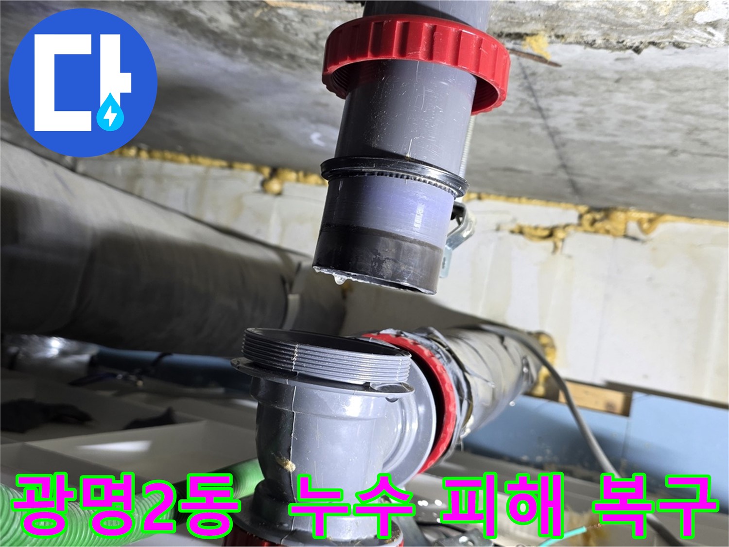 광명시 광명2동 누수로 인한 도배 및 장판 손상 복구 - 완벽한 교체 시공 및 누수 점검