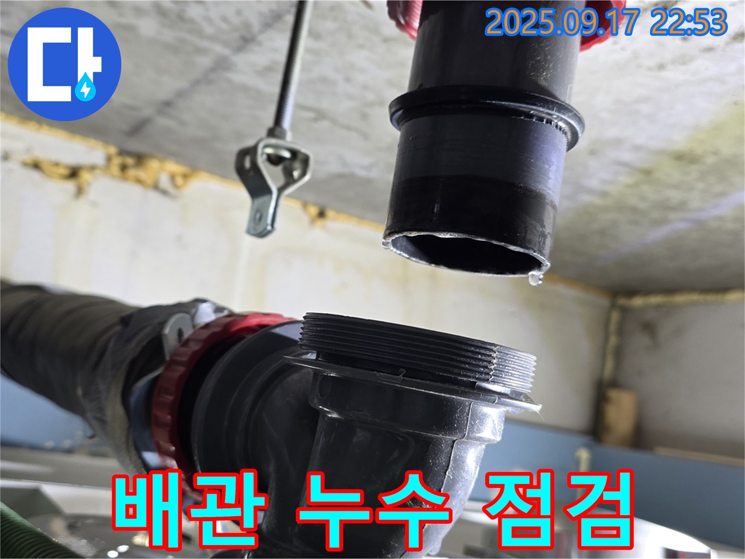 싱크대 하수구 누수 점검 - 싱크대 하수구에서 누수가 발생하는지 꼼꼼하게 점검하고 있습니다.