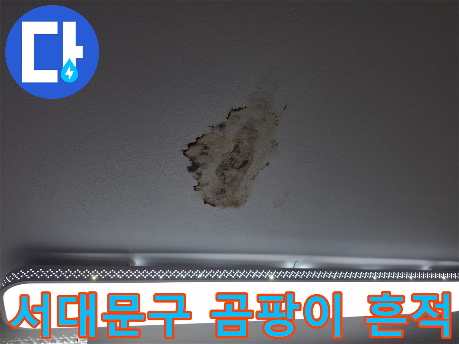 곰팡이 뒤덮인 천장 - 고통의 흔적을 지워드립니다