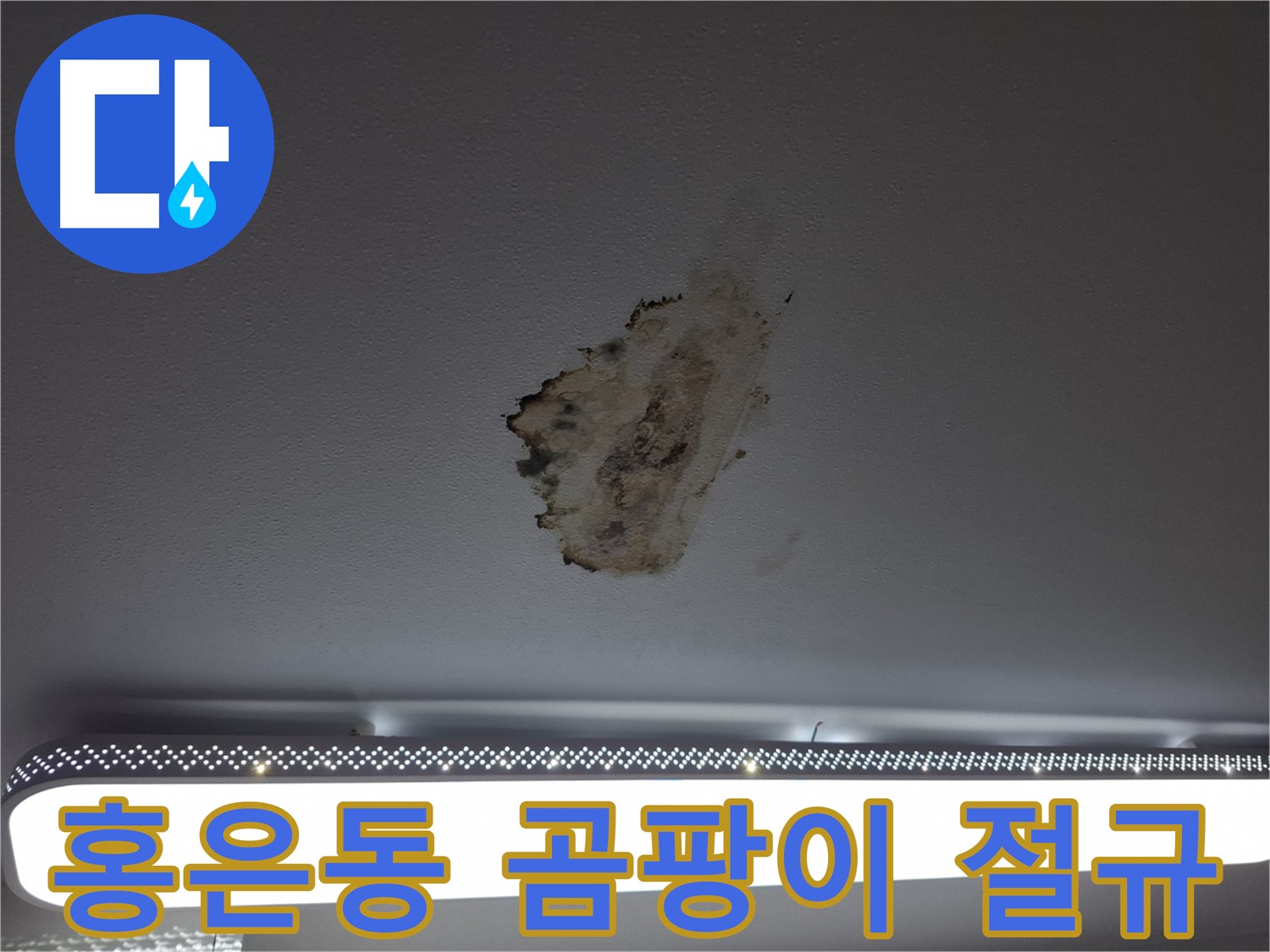 곰팡이 얼룩진 천장 - 누수 문제의 심각한 절규