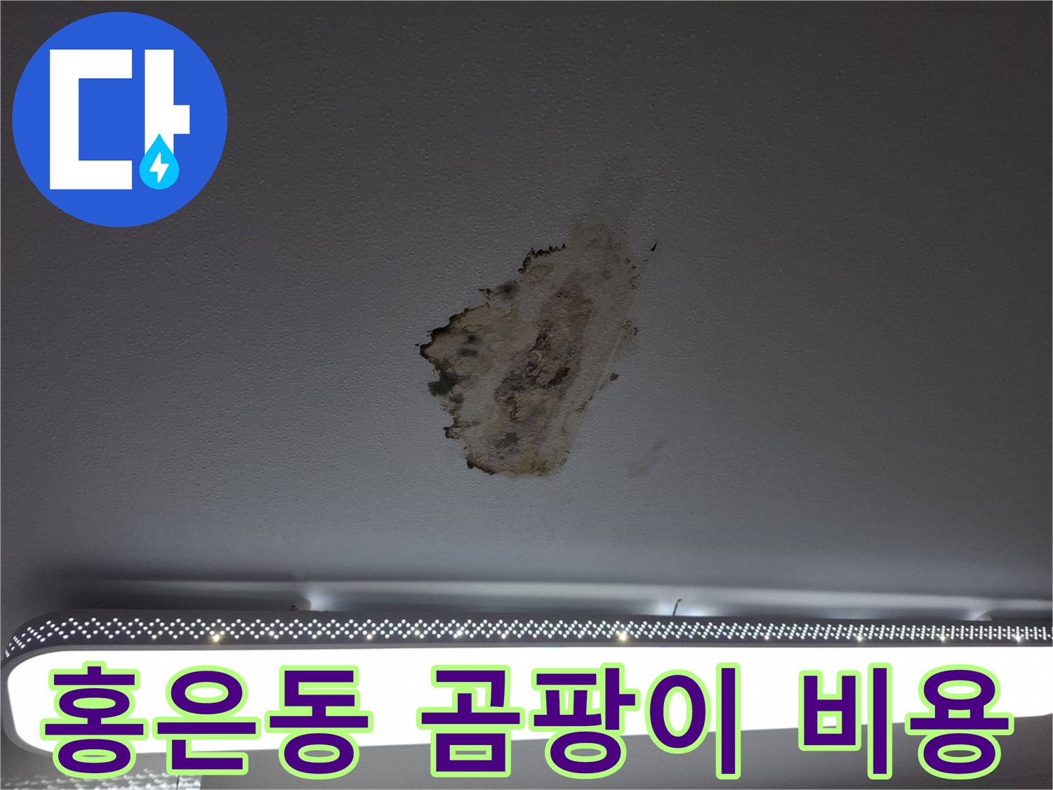 곰팡이 천장 - 합리적인 비용으로 해결
