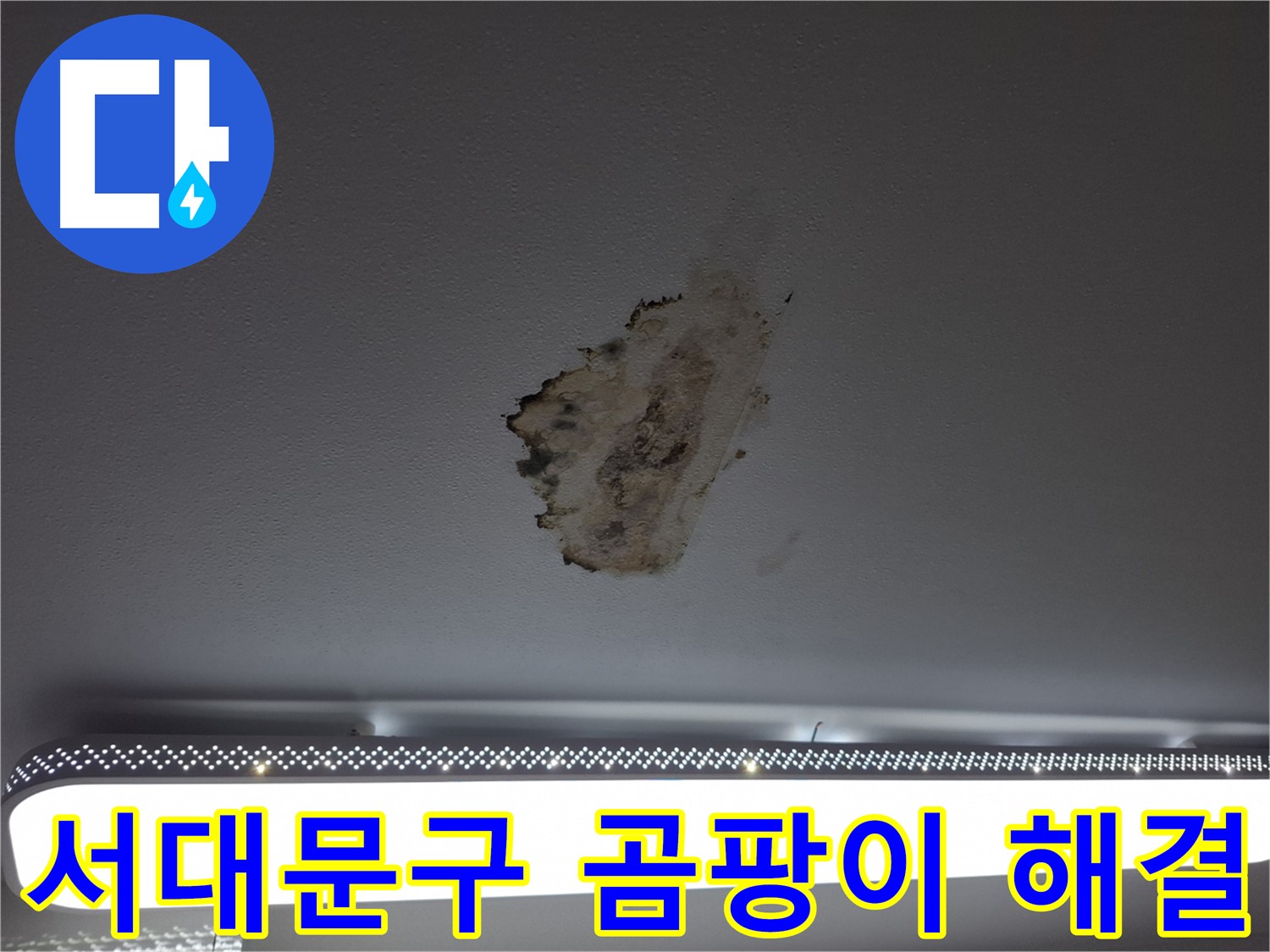 곰팡이 핀 천장 - 침묵을 깨고 해결하세요