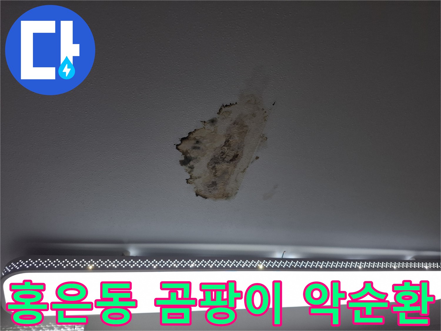 천장 곰팡이 - 곰팡이 악순환을 끊어드립니다