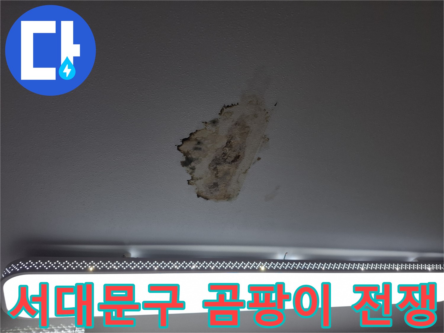 천장 누수와 곰팡이 - 곰팡이와의 전쟁 선포