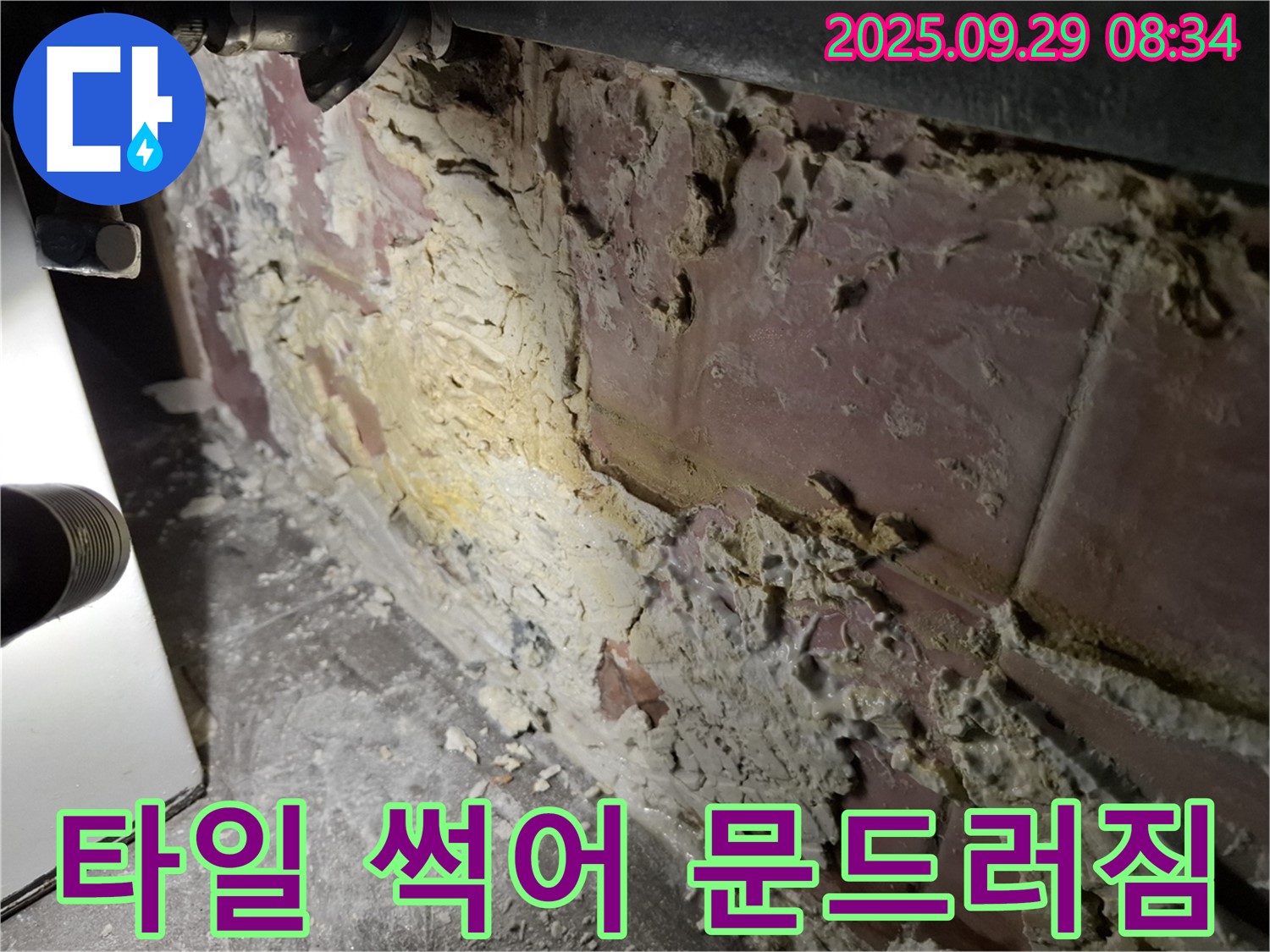 홍은빌라 - 곰팡이와 함께 썩어 문드러진 타일 - 긴급 점검이 필요합니다.