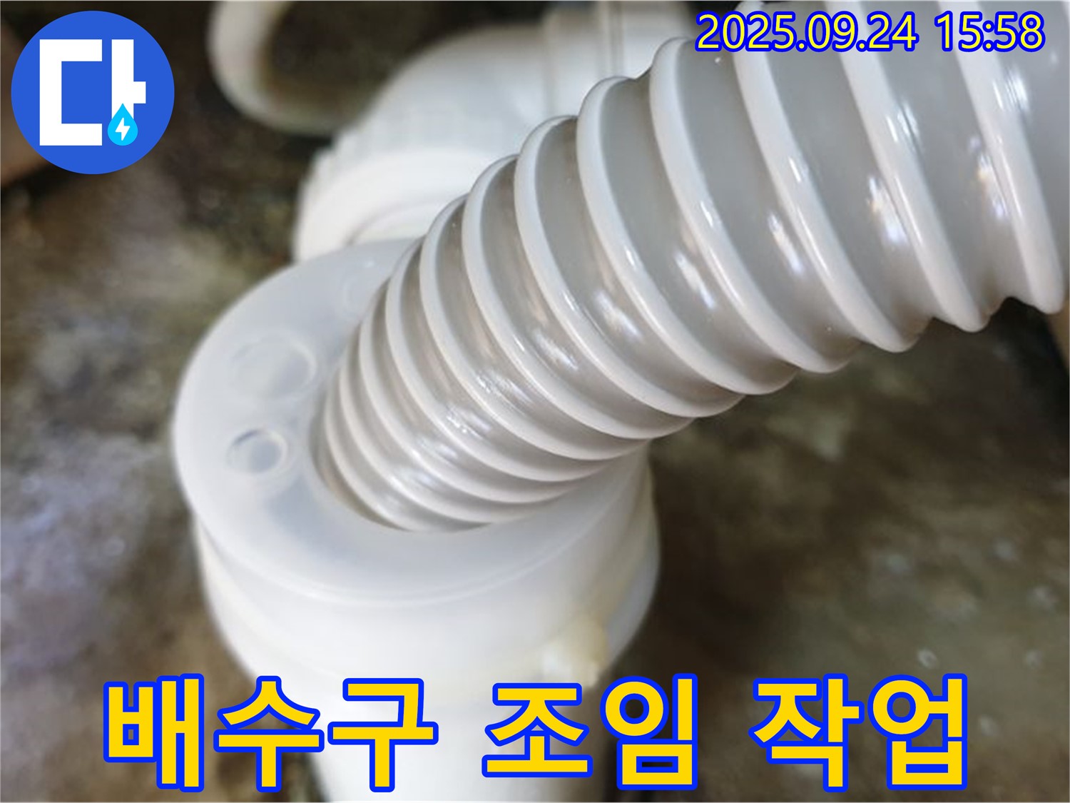 월계3동 싱크대 배수구 연결 부위 누수 - 간단한 조임 작업으로 누수를 해결하고, 추가적인 손상을 예방했습니다.