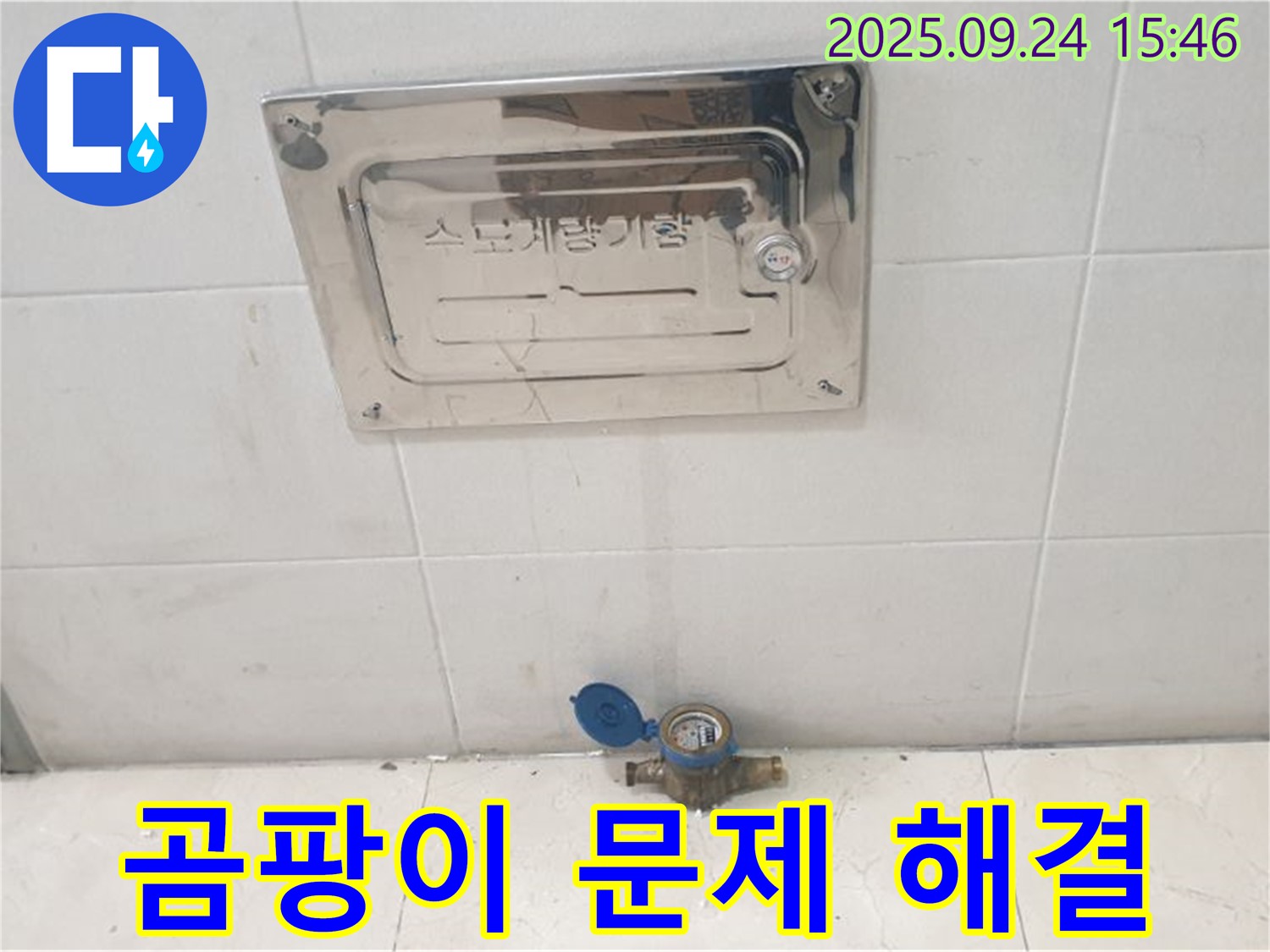 공릉1동 수도계량기 주변 곰팡이 - 누수 원인 해결과 함께 곰팡이 문제까지 말끔하게 해결해 드립니다.
