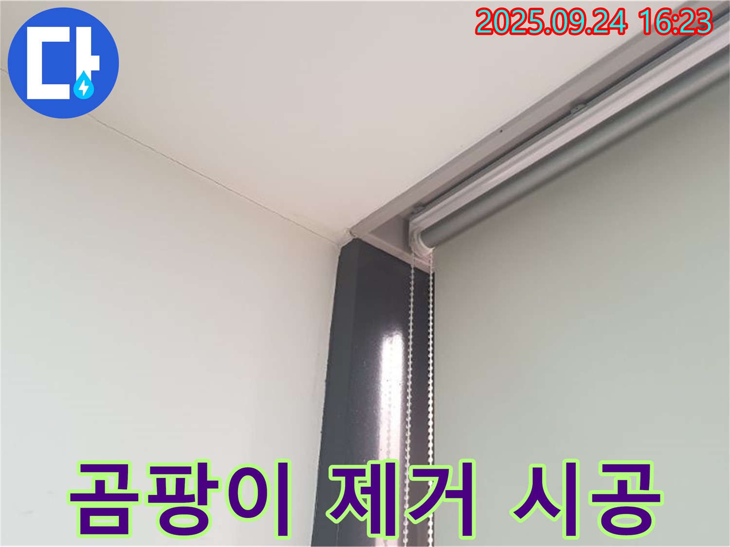 공릉1동 천장 누수, 누수 부위 곰팡이 제거 - 쾌적한 환경을 만들어 드립니다.