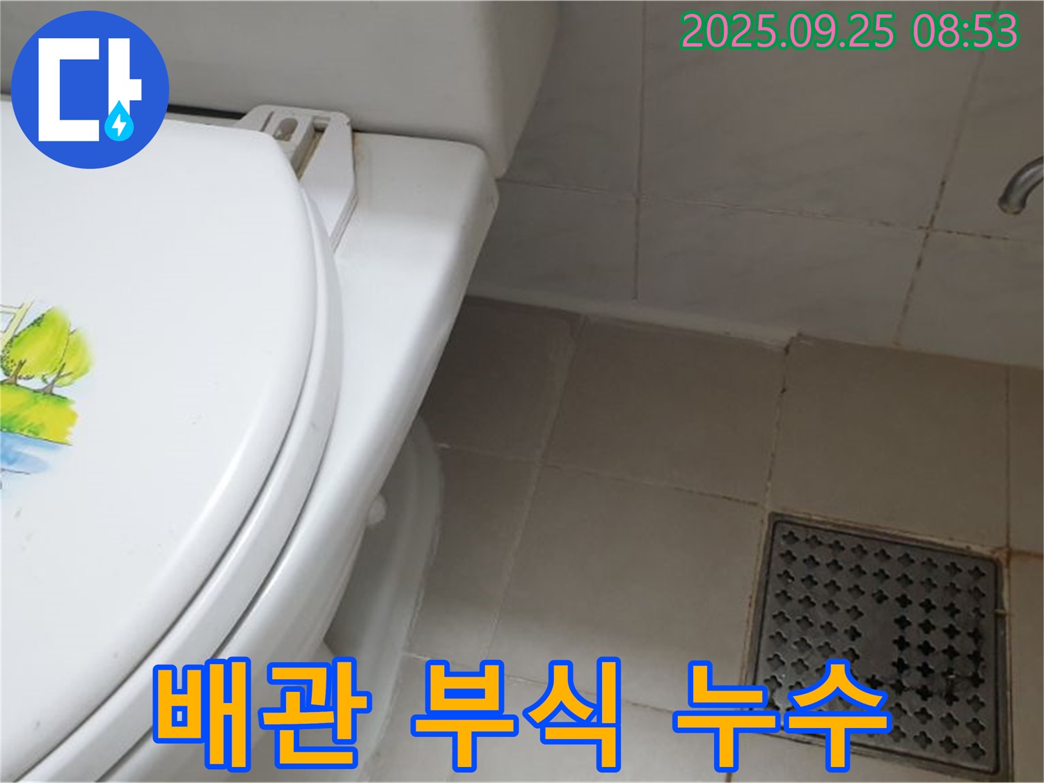 양주 가납리 변기 누수 - 오래된 배관 부식으로 누수 발생! 배관 교체로 확실하게 해결!