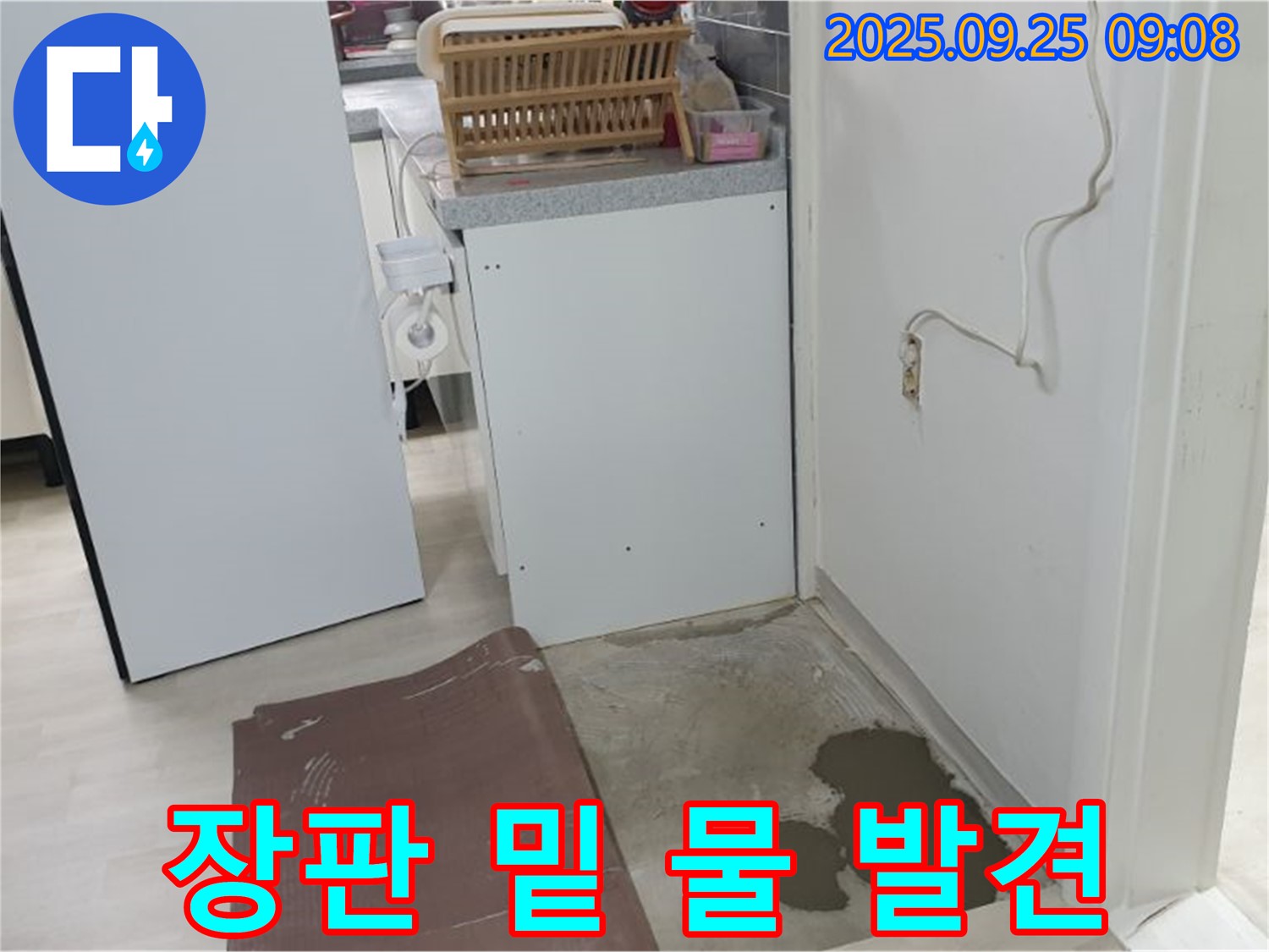 양주 백석읍 연곡리 누수 현장 - 장판을 걷어보니 물이 고여있습니다. 꼼꼼한 점검이 필요합니다.