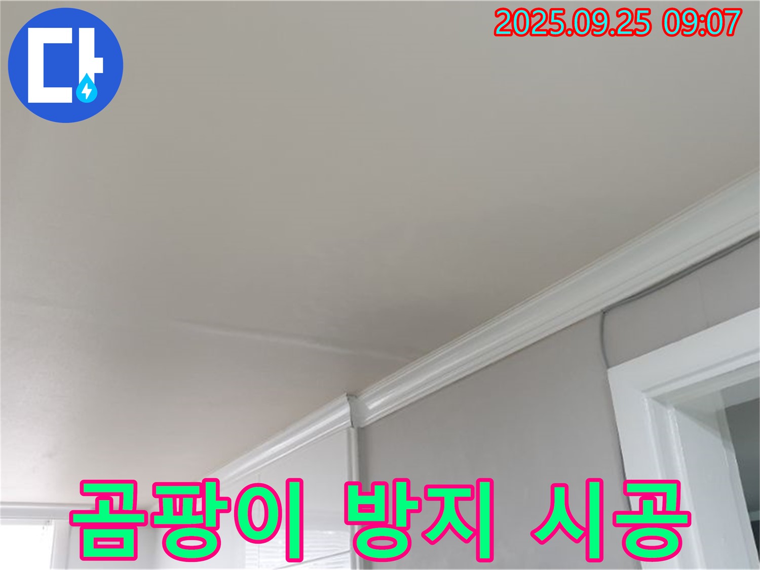 양주 연곡리 아파트 누수 - 누수 부위 주변 곰팡이 방지 시공으로 재발을 막습니다.