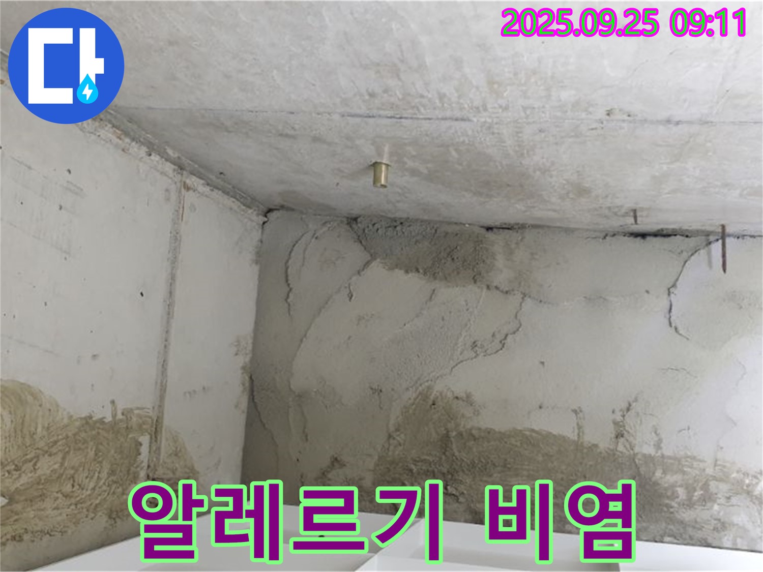 양주시 백석읍 누수 - 곰팡이 알레르기 비염 유발, 쾌적한 집 만들기