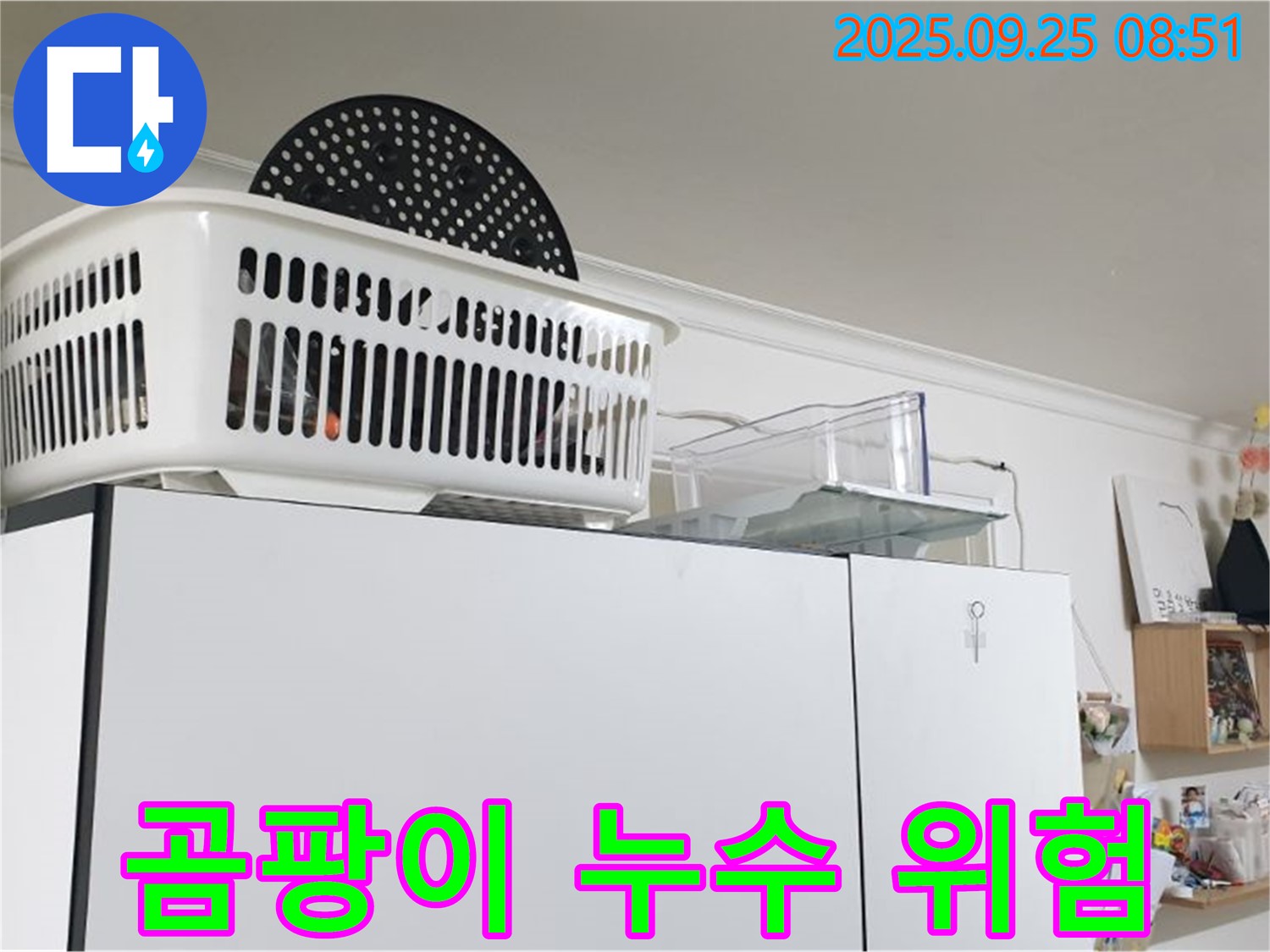 양주시 백석읍 연곡리 냉장고 위 곰팡이 누수 - 건강을 위협하는 곰팡이를 제거하세요!