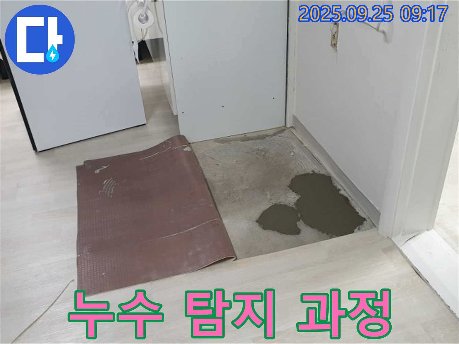 양주시 백석읍 연곡리 누수 - 누수 탐지 과정 상세 촬영