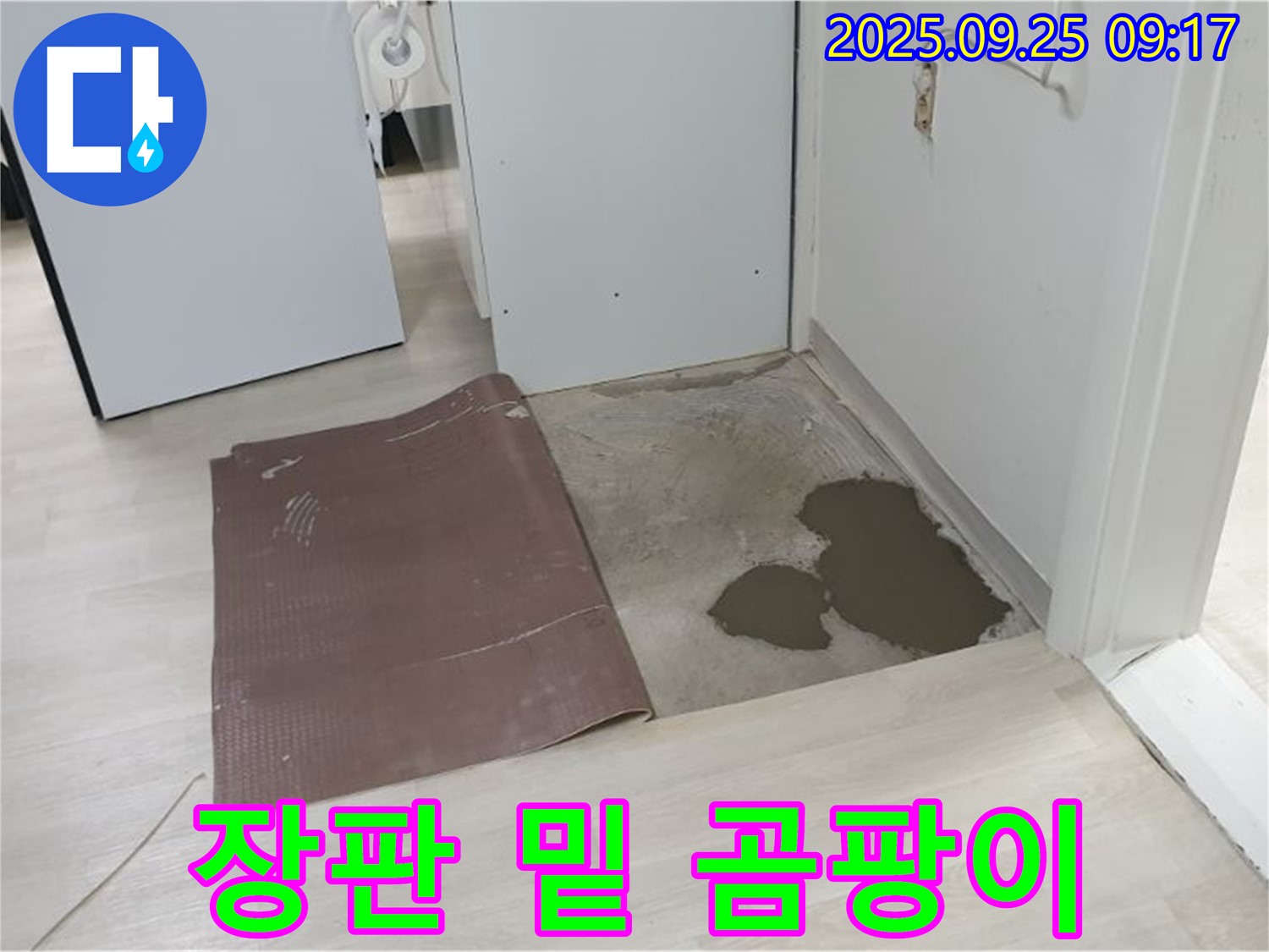 양주시 백석읍 연곡리 누수 - 장판 밑 곰팡이 꽃 - 누수의 흔적