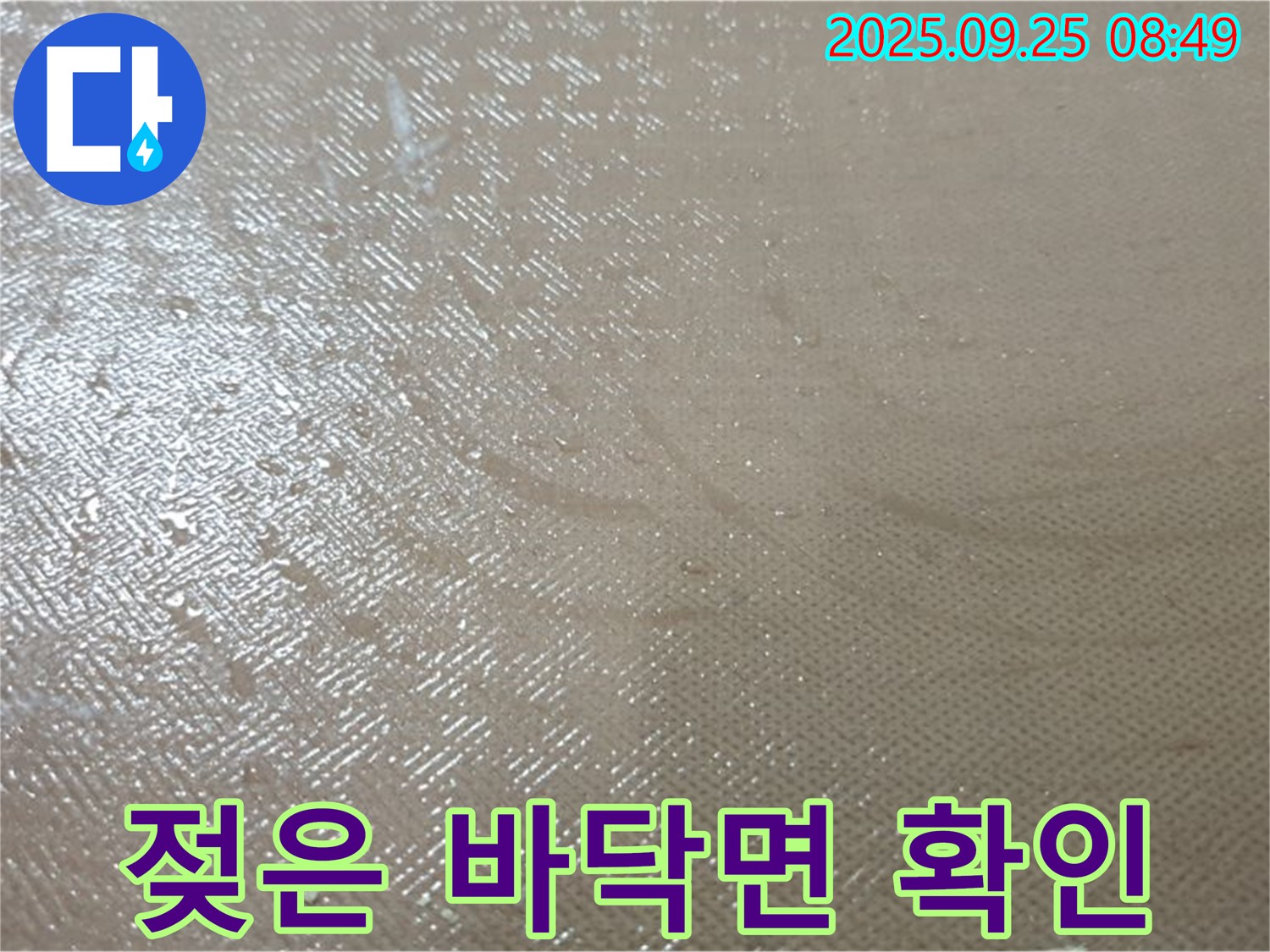 양주시 백석읍 연곡리 누수 - 젖은 바닥면 확인, 합리적인 가격으로 누수 탐지를 제공합니다.