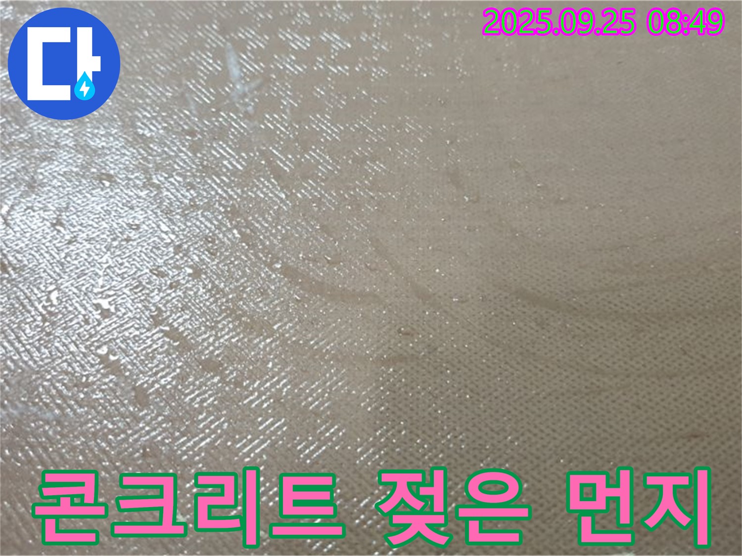 양주시 백석읍 연곡리 누수 - 콘크리트 젖은 먼지, 미세 누수의 징후일 수 있습니다.