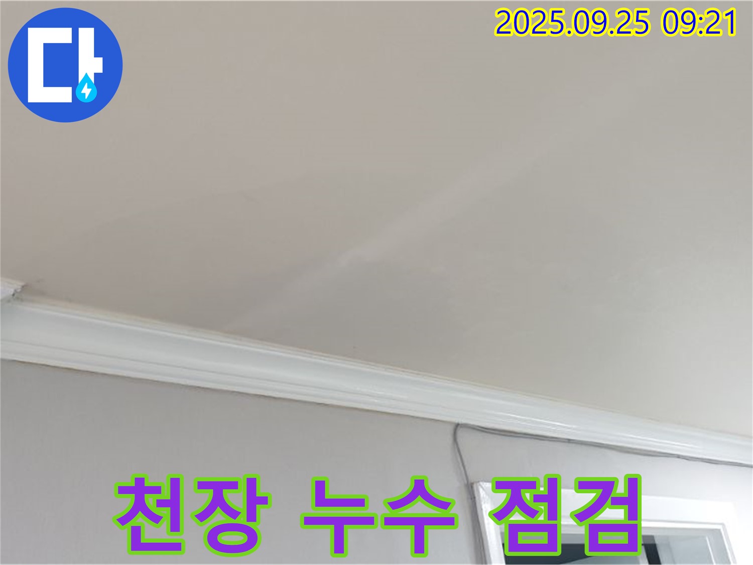 양주시 백석읍 연곡리 빌라 천장 누수 점검 - 누수 전문가의 꼼꼼한 점검과 완벽한 해결.