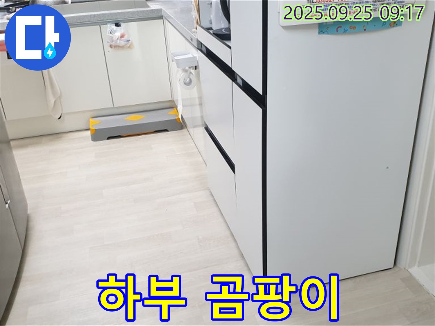 양주시 백석읍 연곡리 주방 싱크대 하부 - 싱크대 하부에 곰팡이가 슬어 있는 모습 - 건강에 해로운 곰팡이 문제를 보여줍니다.