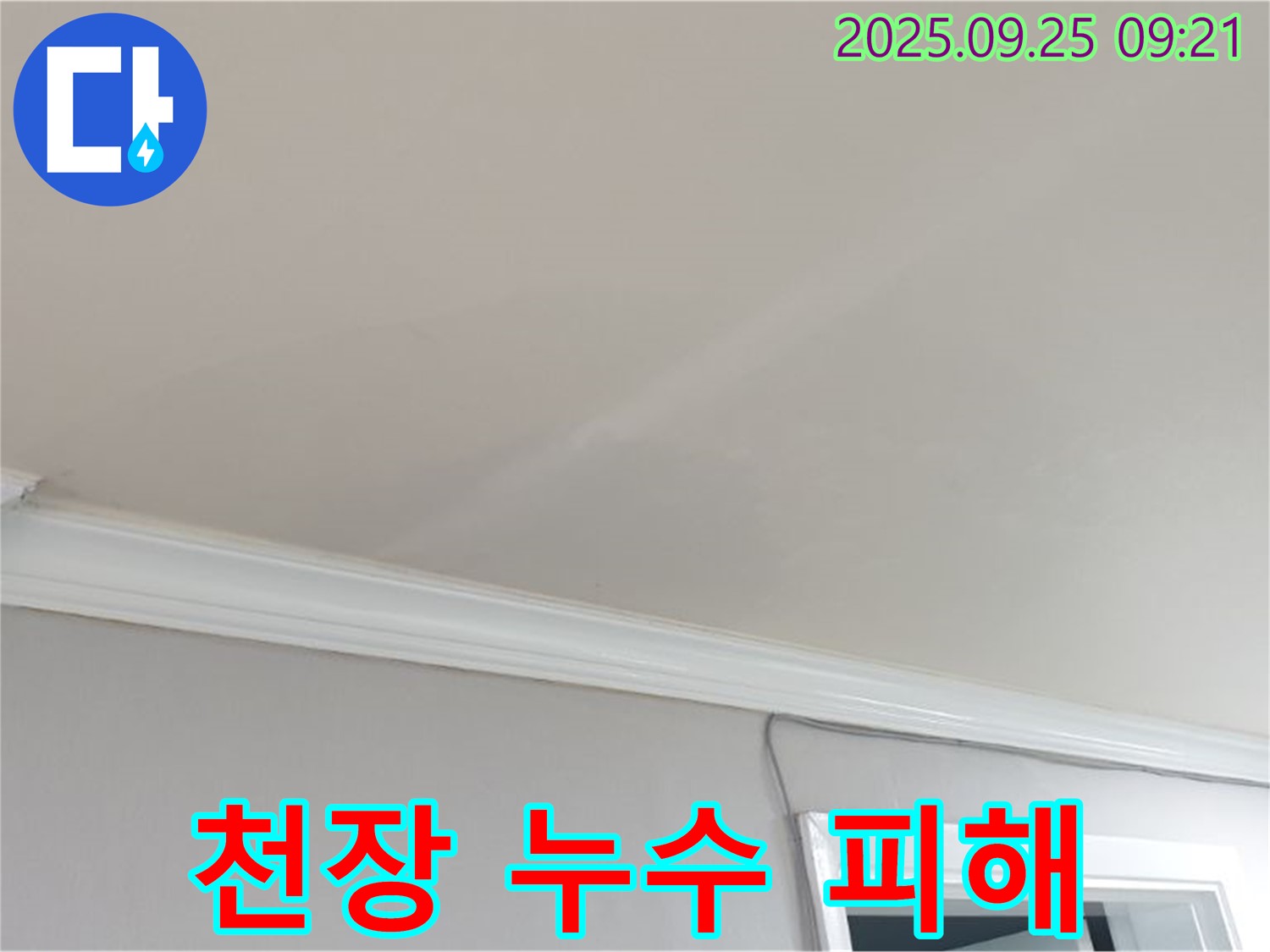 양주시 백석읍 연곡리 주택 천장 누수 피해 - 누수 전문가의 정확한 진단과 완벽한 공사.