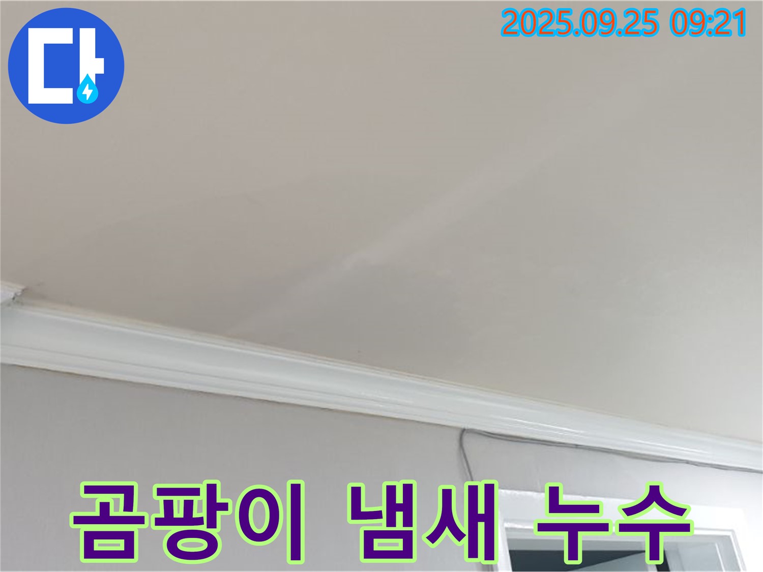 양주시 백석읍 연곡리 천장 곰팡이 냄새 - 누수가 장기화되었을 가능성이 높습니다.