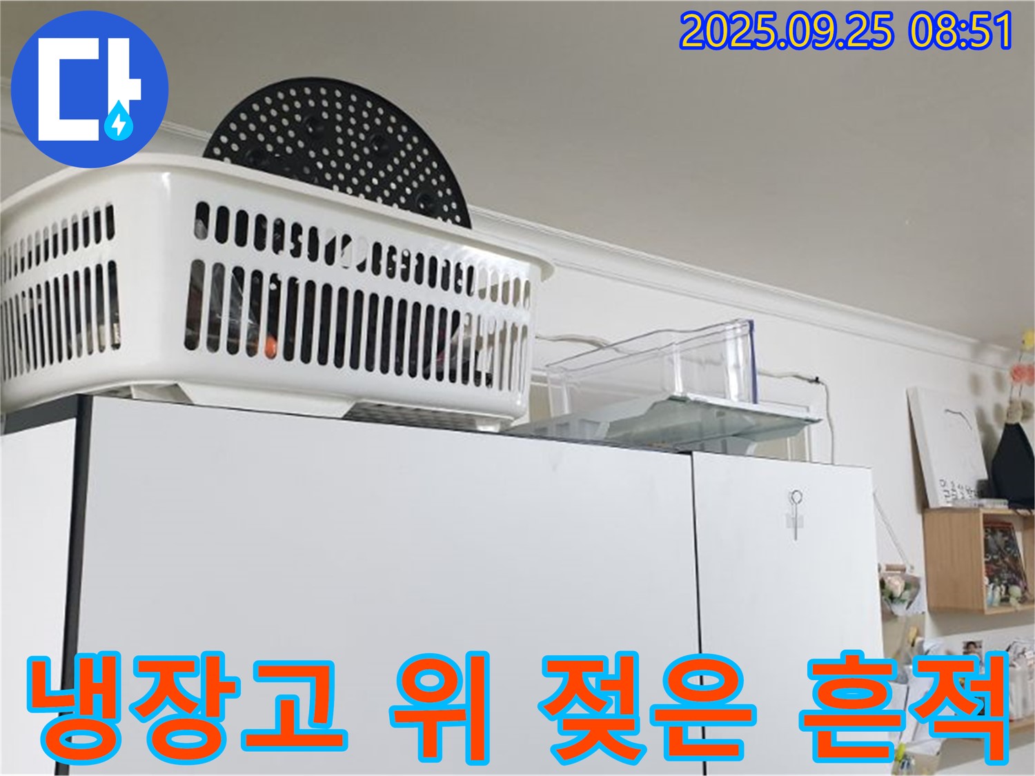 양주시 백석읍에서 냉장고 위 젖은 흔적 발견 - 초기 누수 징후일 수 있습니다.