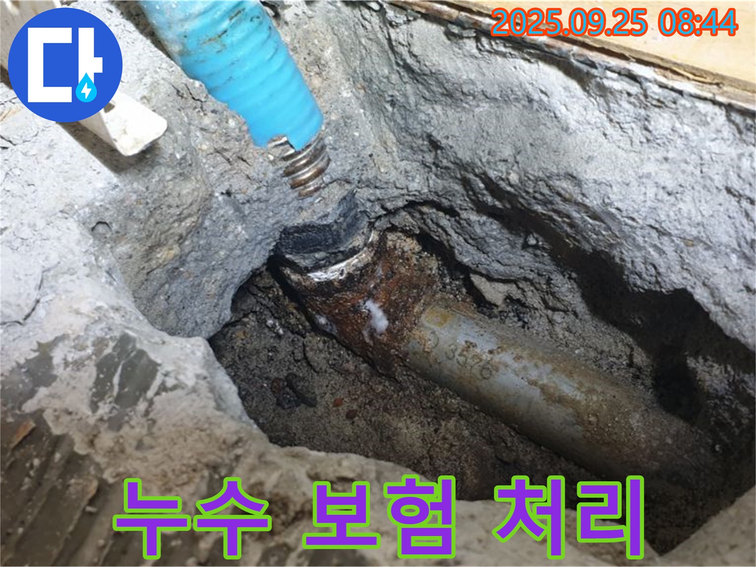 홍죽리에서 누수 보험 처리까지 완벽하게 도와드리는 모습 - 복잡한 보험 절차를 간편하게 해결해 드립니다.