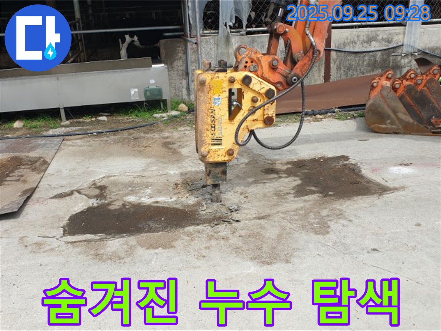 양주 백석읍 복지리 누수 - 굴착 작업, 숨겨진 누수 지점 찾기
