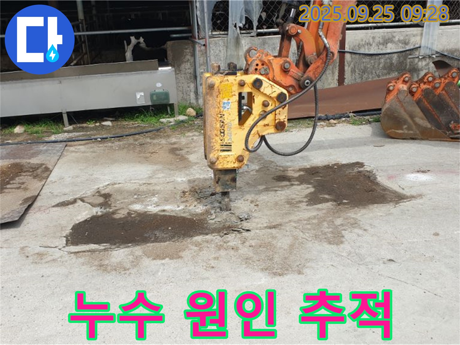 양주 백석읍 복지리 누수 - 콘크리트 깨부수고 누수 원인 추적