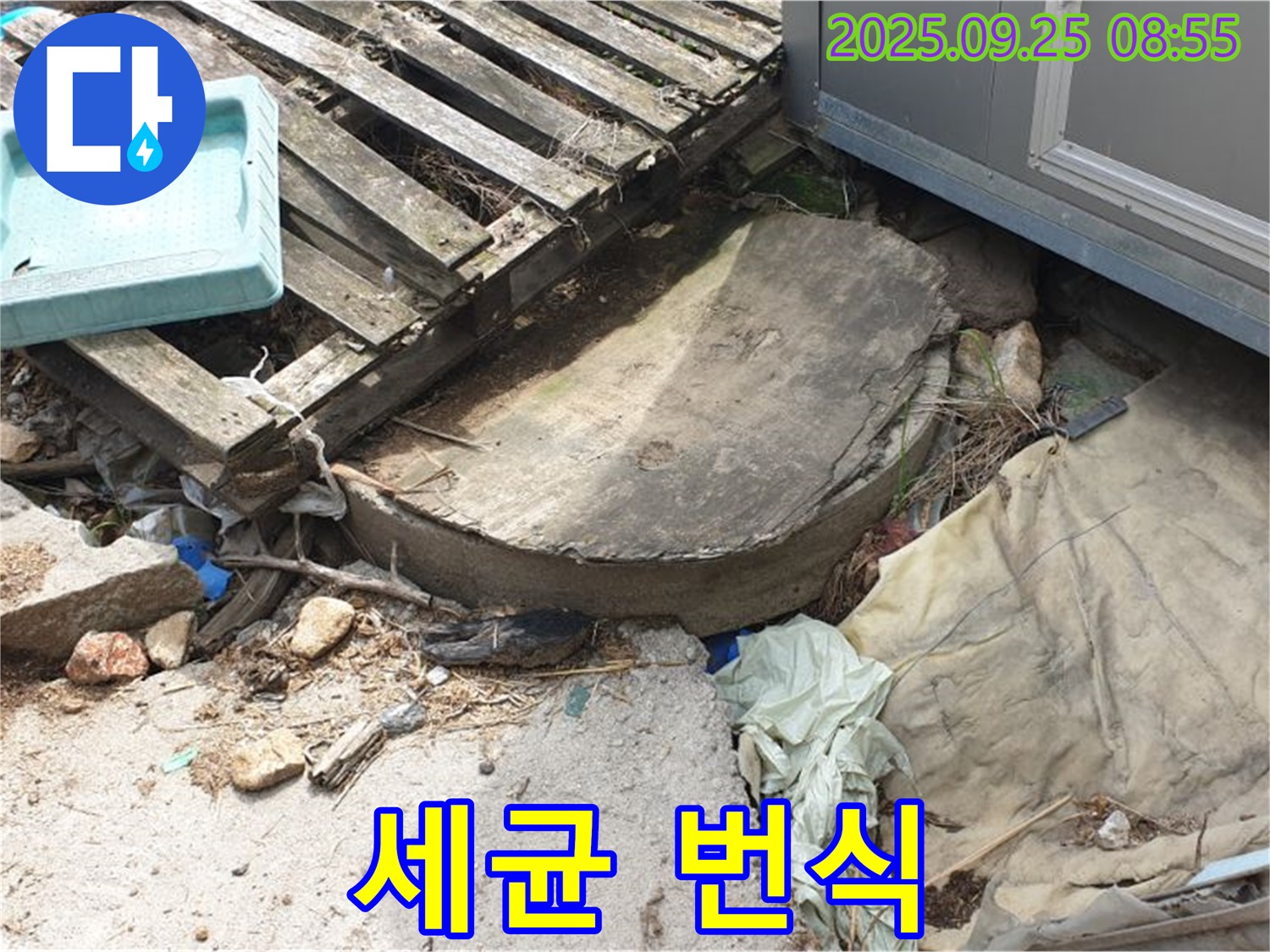 양주시 백석읍 복지리 누수 - 폐자재 속 습기 곰팡이 세균 번식
