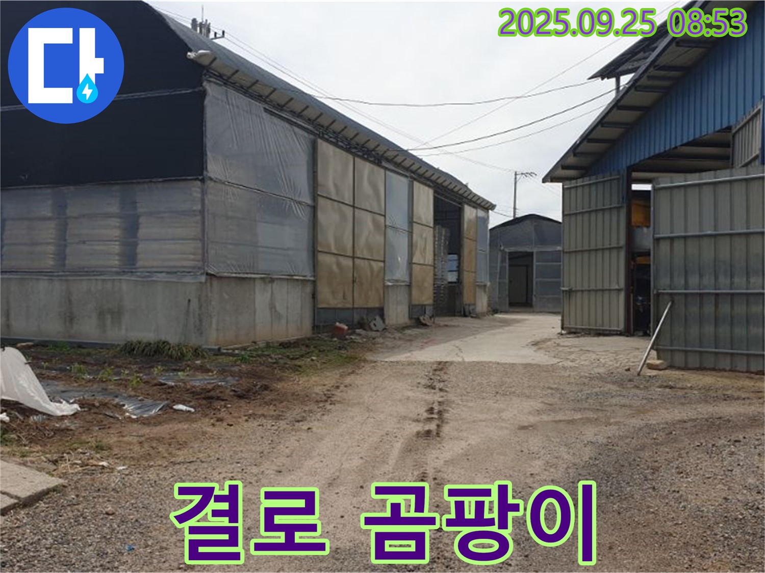 양주시 백석읍 복지리 - 축사 내부 결로 곰팡이 - 단열 시공과 환기가 중요