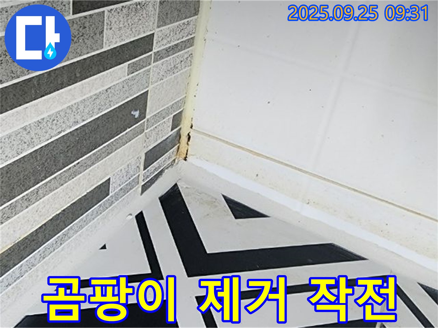 양주시 백석읍 오산리 - 곰팡이 제거 장비를 들고 작전을 수행하는 듯한 모습 - 곰팡이 제거 작전 개시