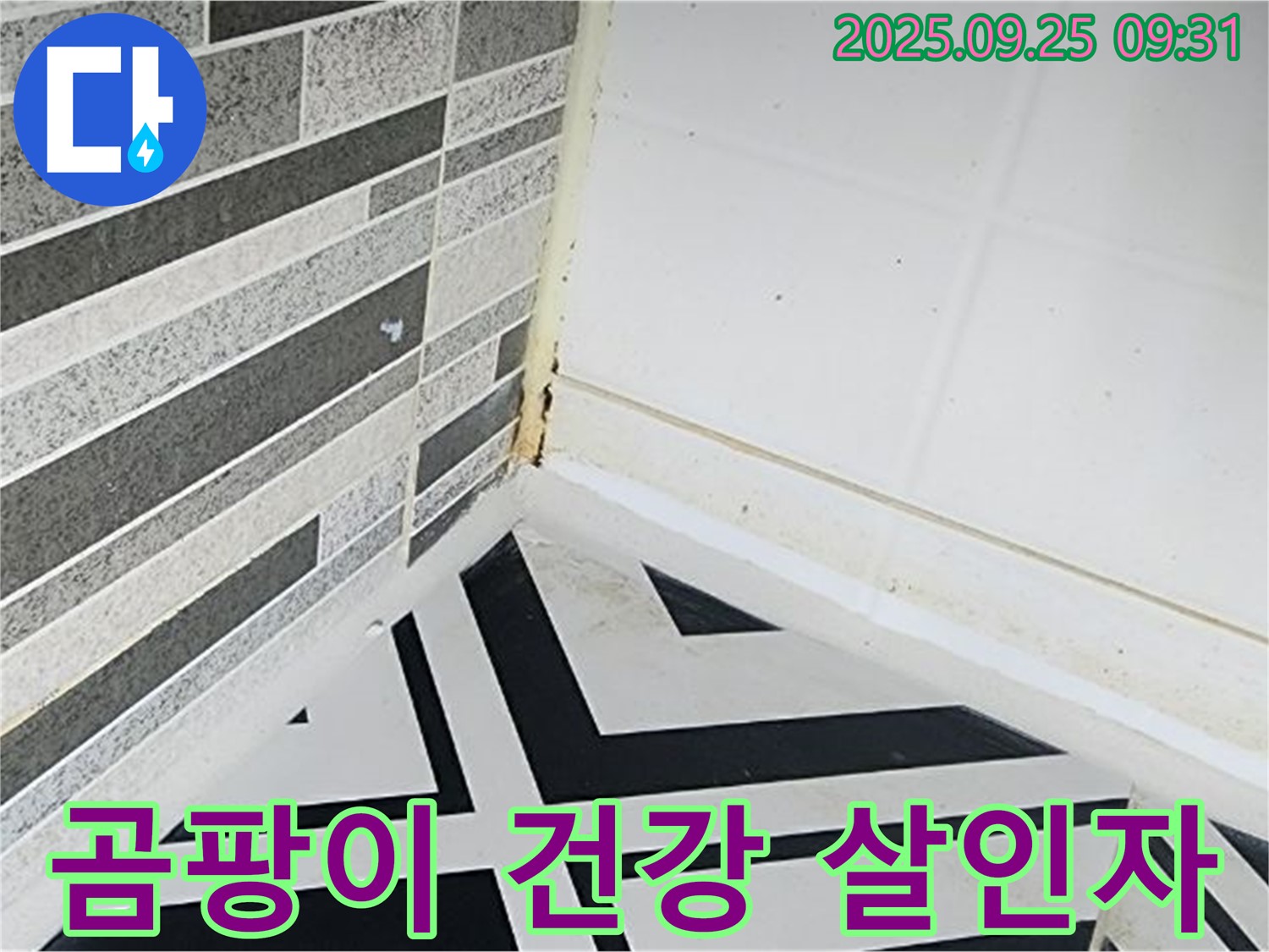 양주시 백석읍 오산리 - 곰팡이가 건강을 위협하는 모습 - 조용한 살인자라는 비유
