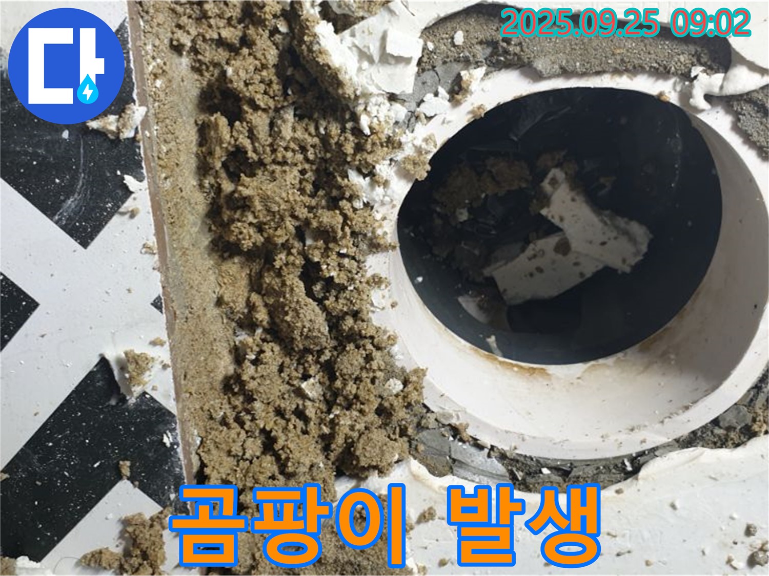 양주시 백석읍 오산리 누수 현장 - 누수 부위 주변에 곰팡이가 발생한 모습입니다.