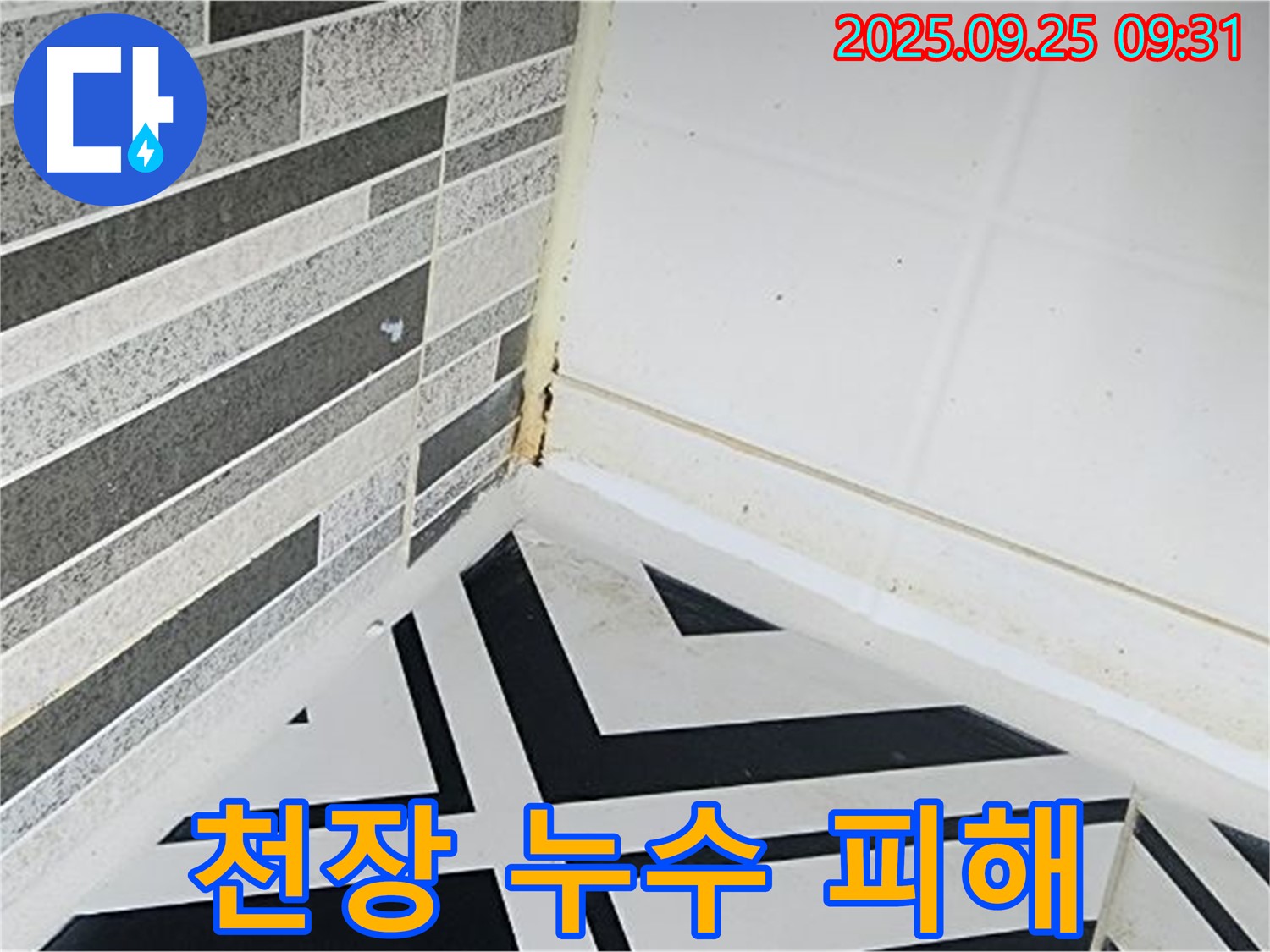 양주시 백석읍 오산리 - 욕실 천장에서 누수가 발생하여 아랫집에 피해를 주는 모습입니다.