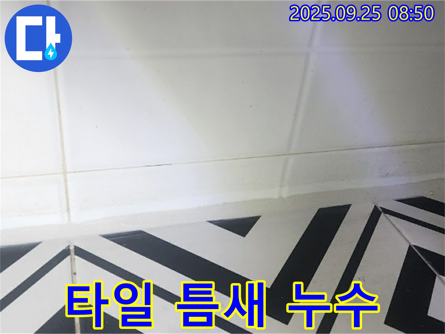 양주시 백석읍 오산리 화장실 타일 틈새 누수 - 꼼꼼한 시공으로 누수 걱정 없이!