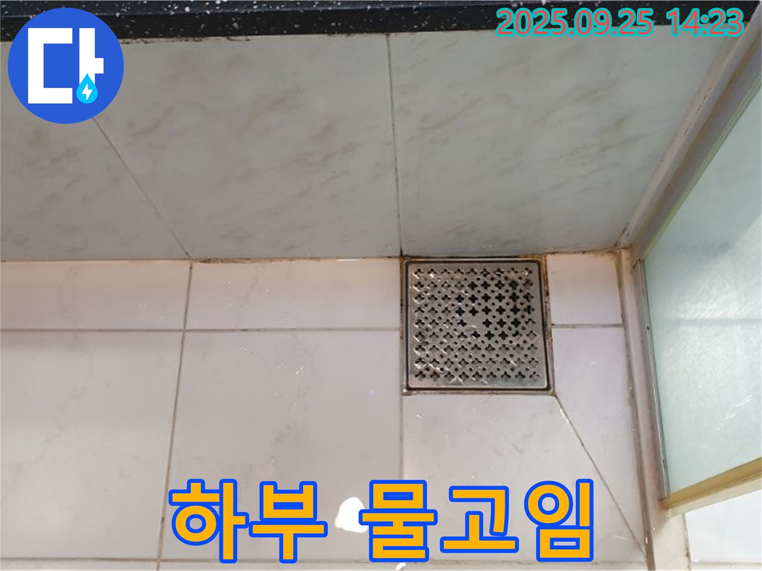 샤워부스 하부 물고임 - 배수 상태 점검