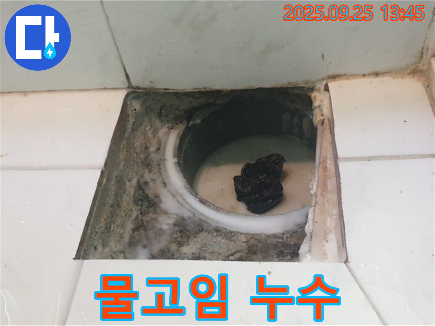 의정부 누수 - 욕실 배수구 주변 물고임, 혹시 우리 집도 누수일까요?