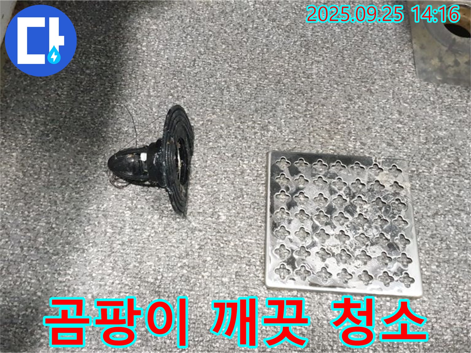 의정부2동 배수구 주변 곰팡이 - 깨끗하게 청소!