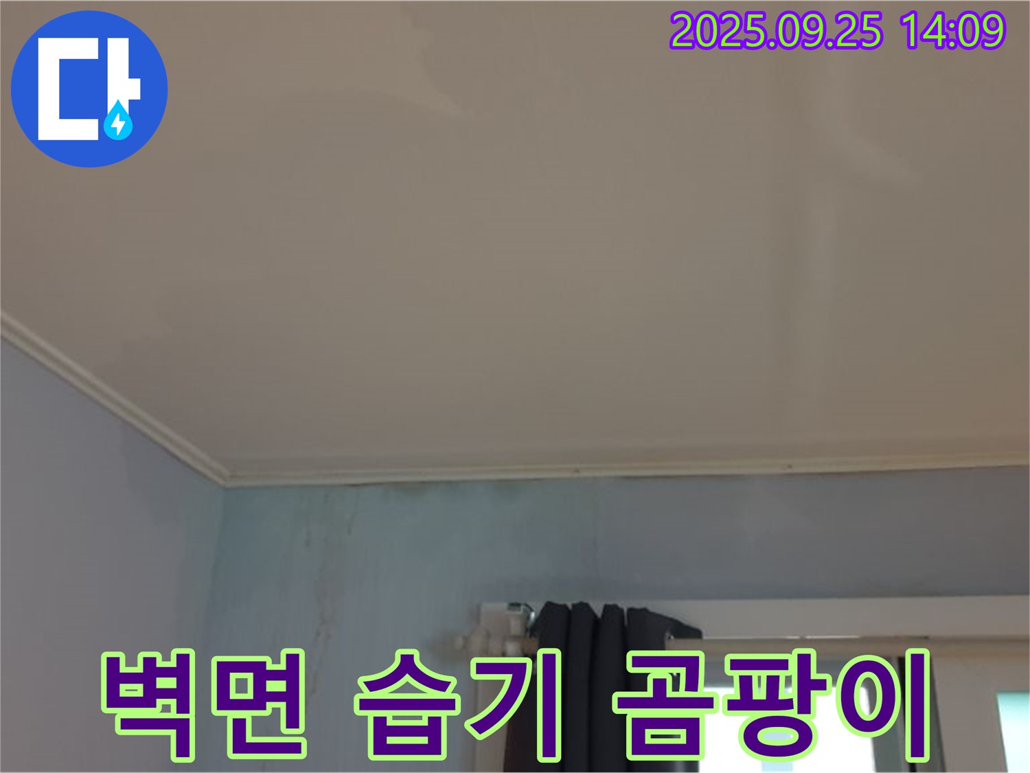 의정부 호원1동 310번지 누수 - 벽면에 습기가 있고 곰팡이 냄새가 심하게 남