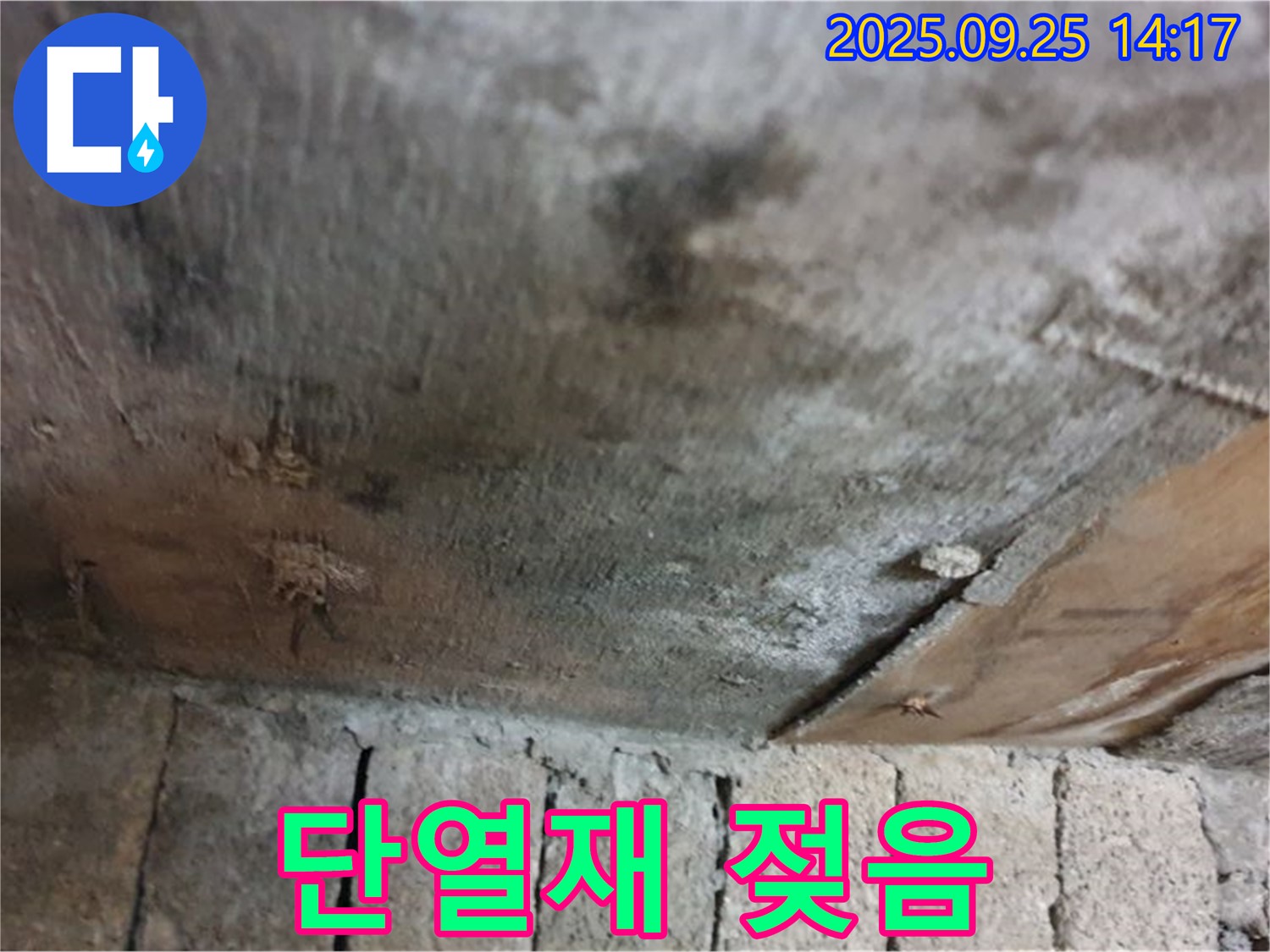 의정부 호원동 누수 현장 - 천장 단열재가 젖어 단열 기능이 저하되고 곰팡이가 발생하고 있습니다.