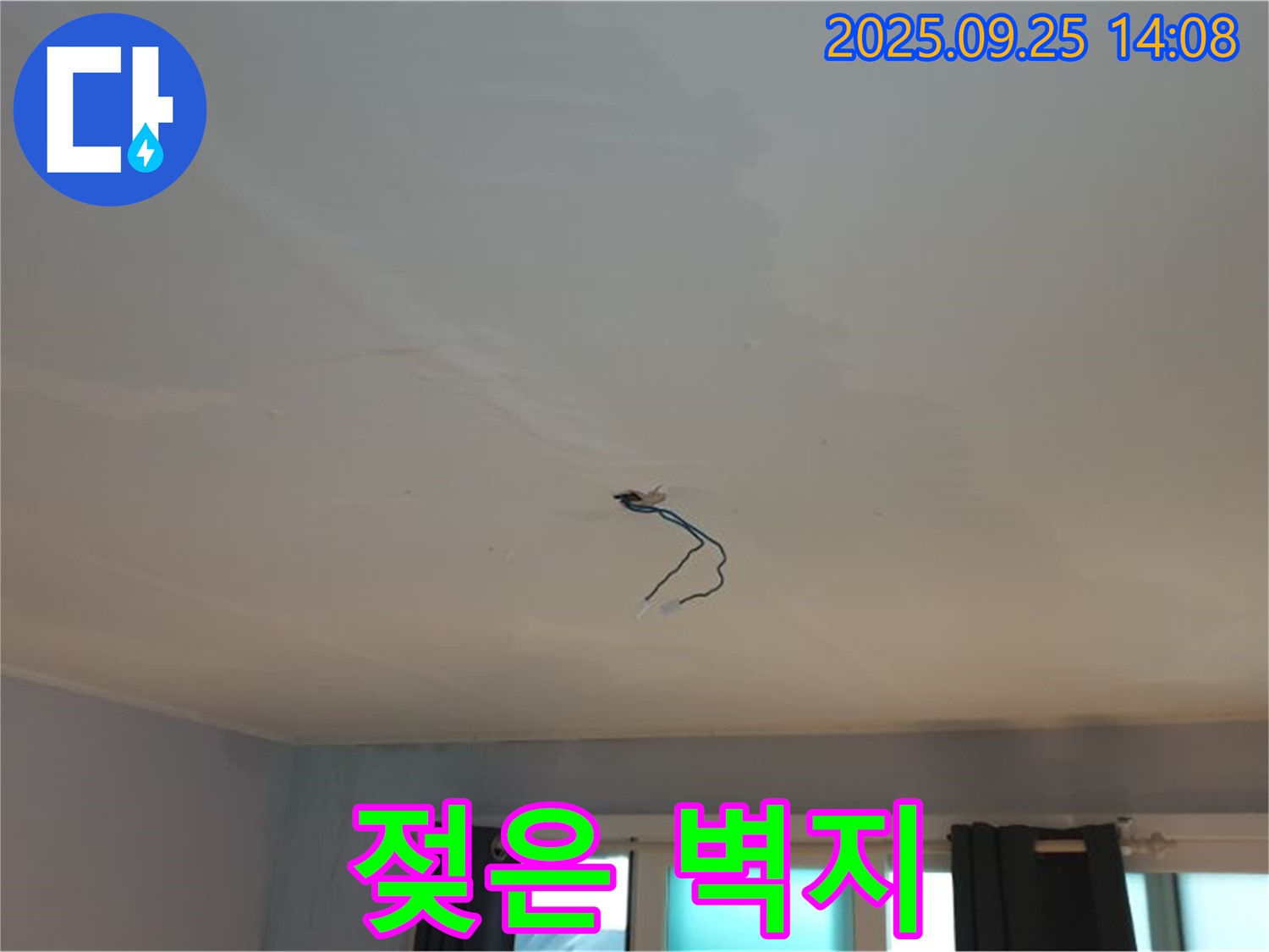 호원1동 누수 - 젖은 벽지, 곰팡이 번식 우려