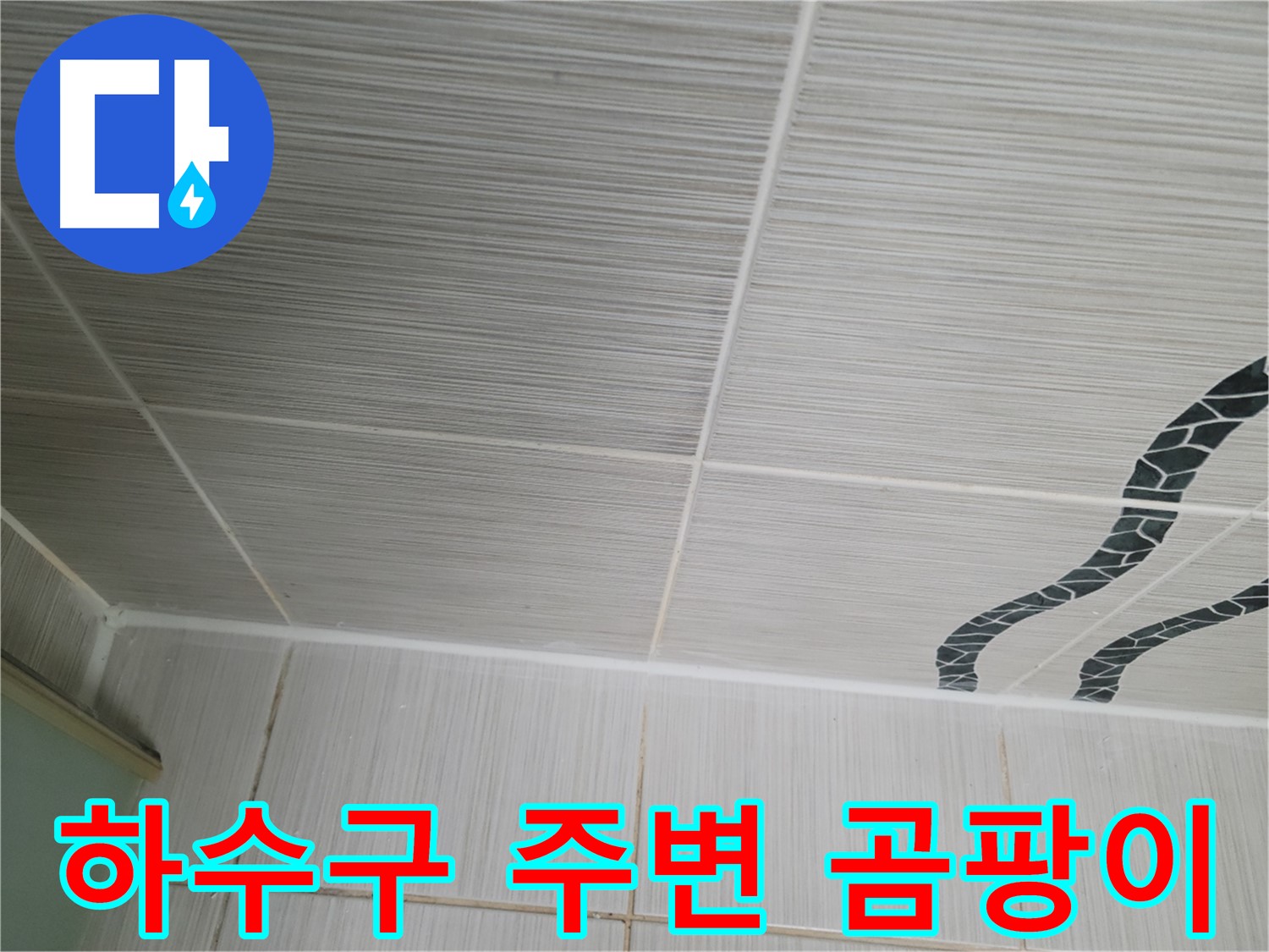 동두천 누수 - 베란다 하수구 주변에 곰팡이가 심하게 핀 것을 확인하고 곰팡이 제거 작업을 진행했습니다.