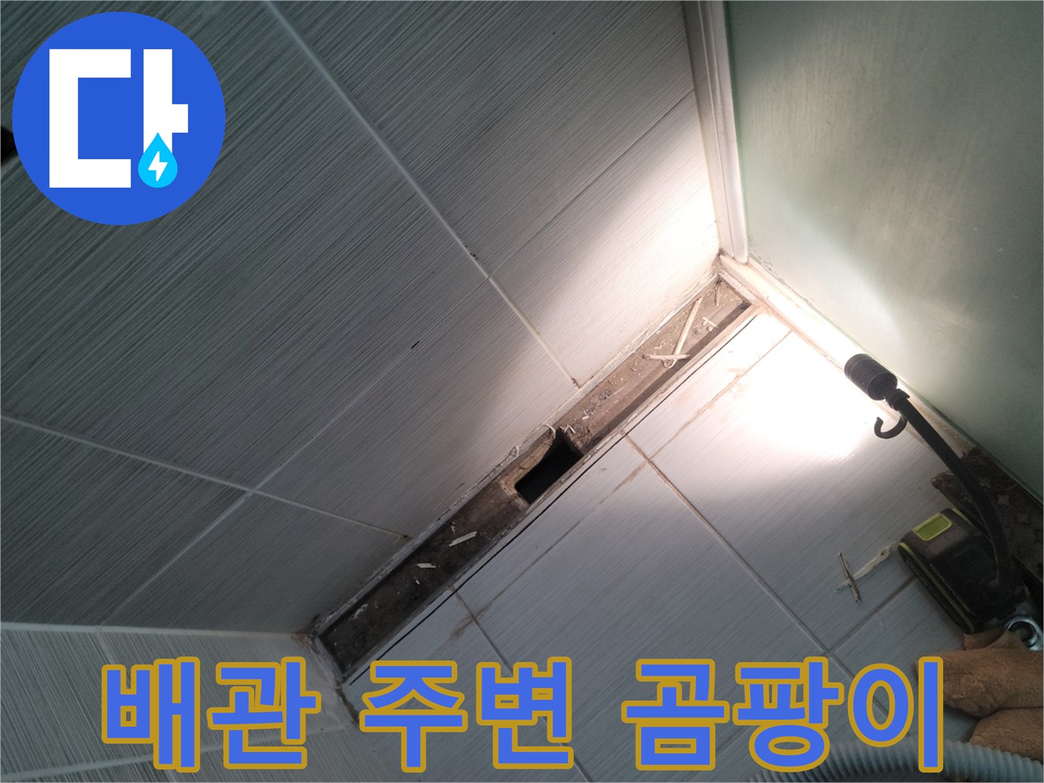 동두천 누수 - 욕조 철거 후 배관 주변 곰팡이 발생 확인