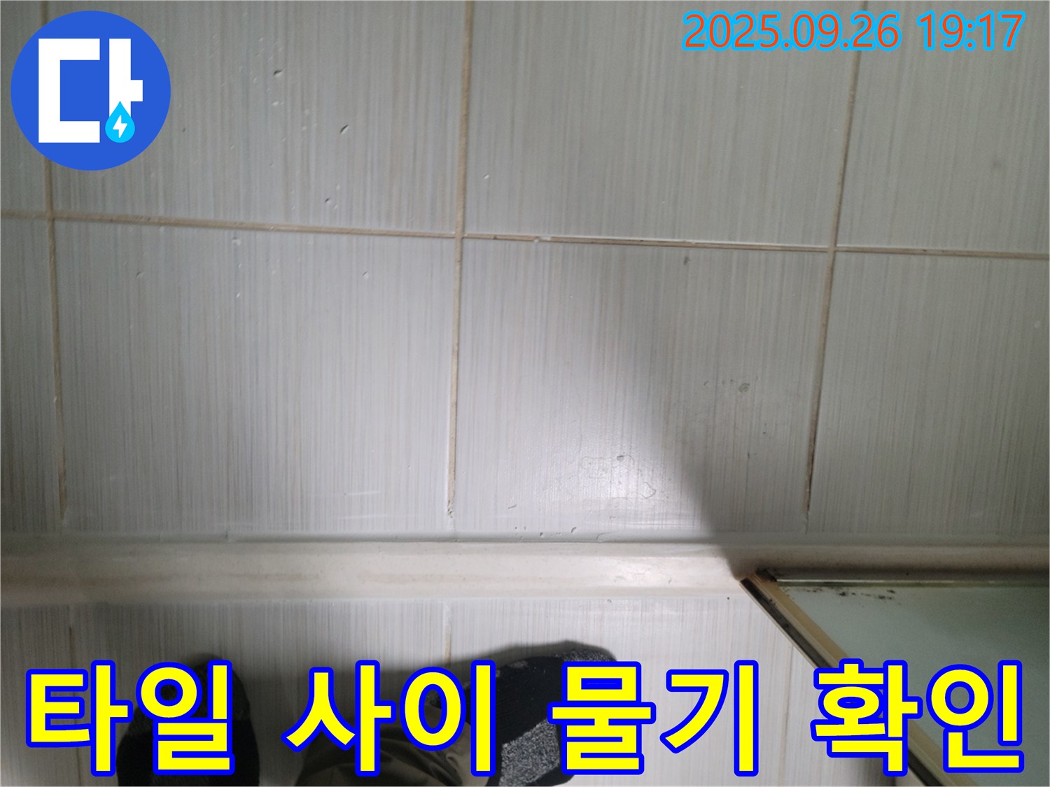 동두천 생연동 누수 - 타일 사이의 물기를 통해 누수 여부를 판단하고 있습니다.