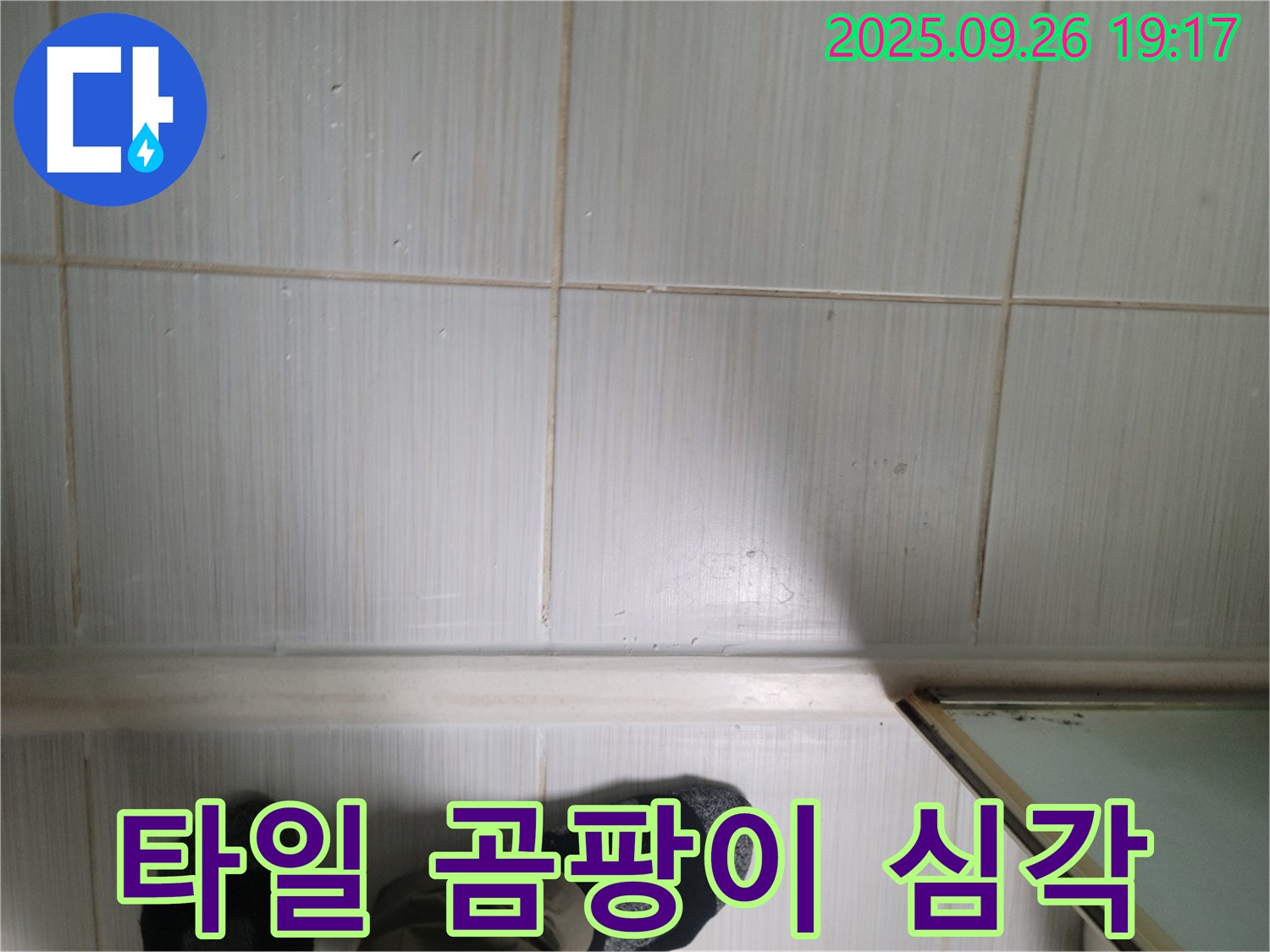 동두천 생연동 누수 - 타일 심각한 곰팡이 상태를 확인하고 합리적인 가격을 제시하고 있습니다.
