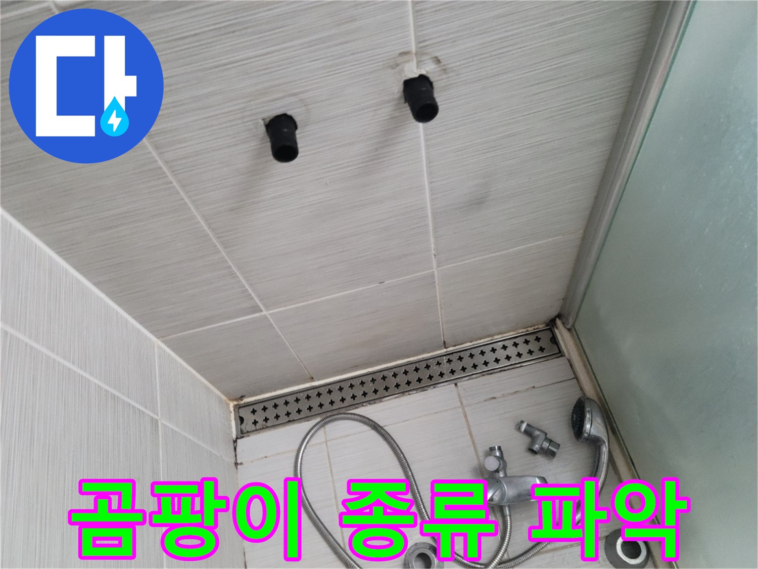 동두천 신창비바 - 샤워기 자리 벽면 곰팡이 종류와 번식 정도 파악